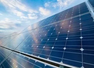 Sustainable Trailblazers and Innovations in Minnesota