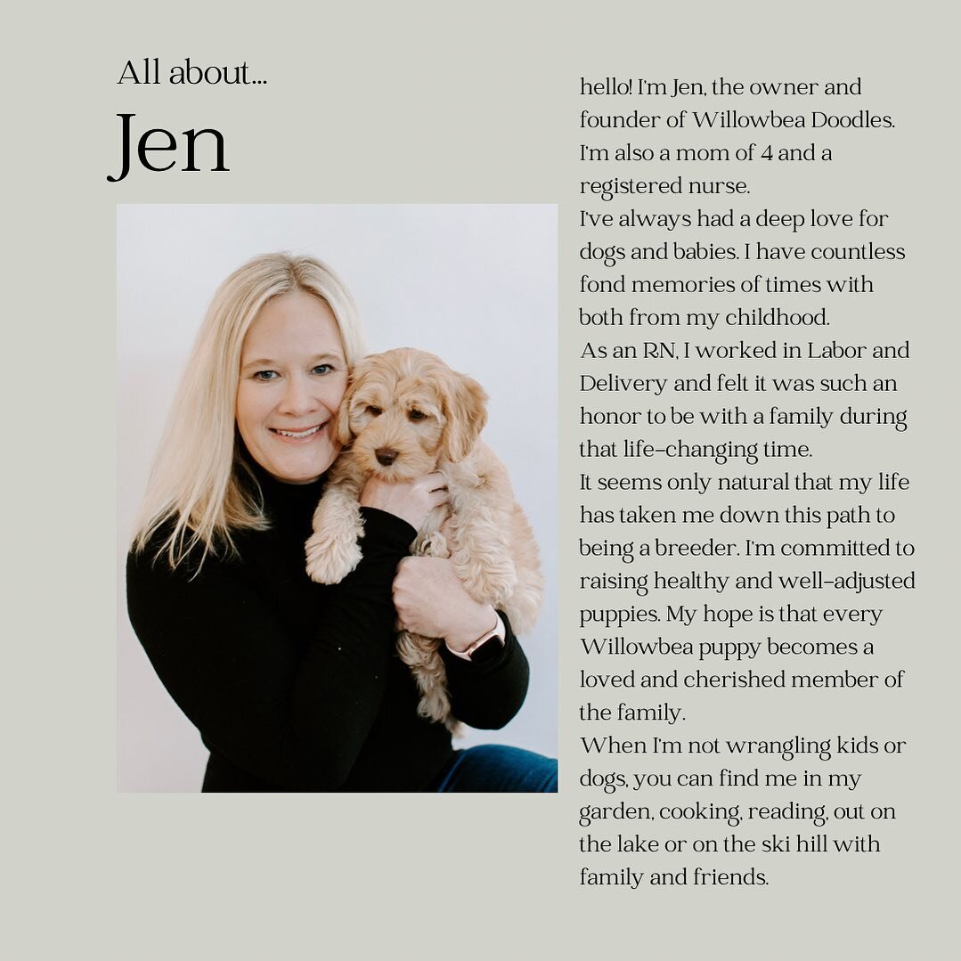 I&rsquo;m here to answer any questions you have about Willowbea or Australian Labradoodles. We are located just outside the Twin Cities and have availability in our current litter. If you aren&rsquo;t local, we offer hand delivery to anywhere in the 