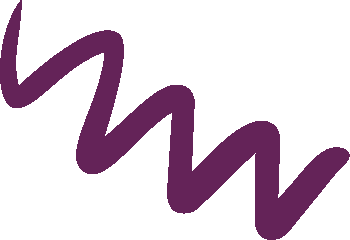 Purple zigzag line on a white background.