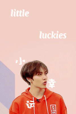 roi profile graphic set 6/6