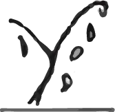 Scented emotions autumn tree symbol represents ripeness and maturity