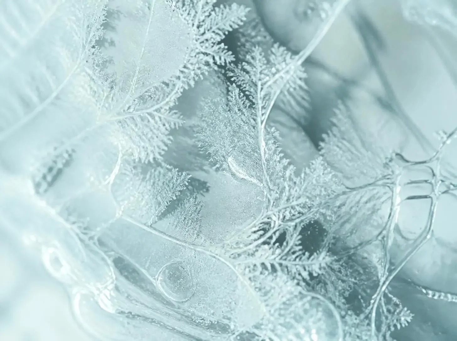 Scented emotions winter texture hero.webp