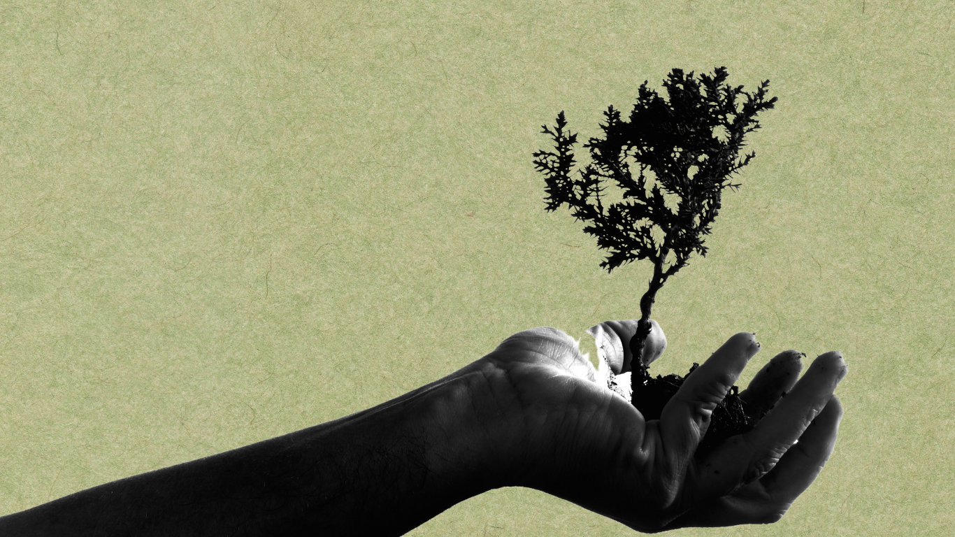 MSM 1366 X 768 Banner (1).png