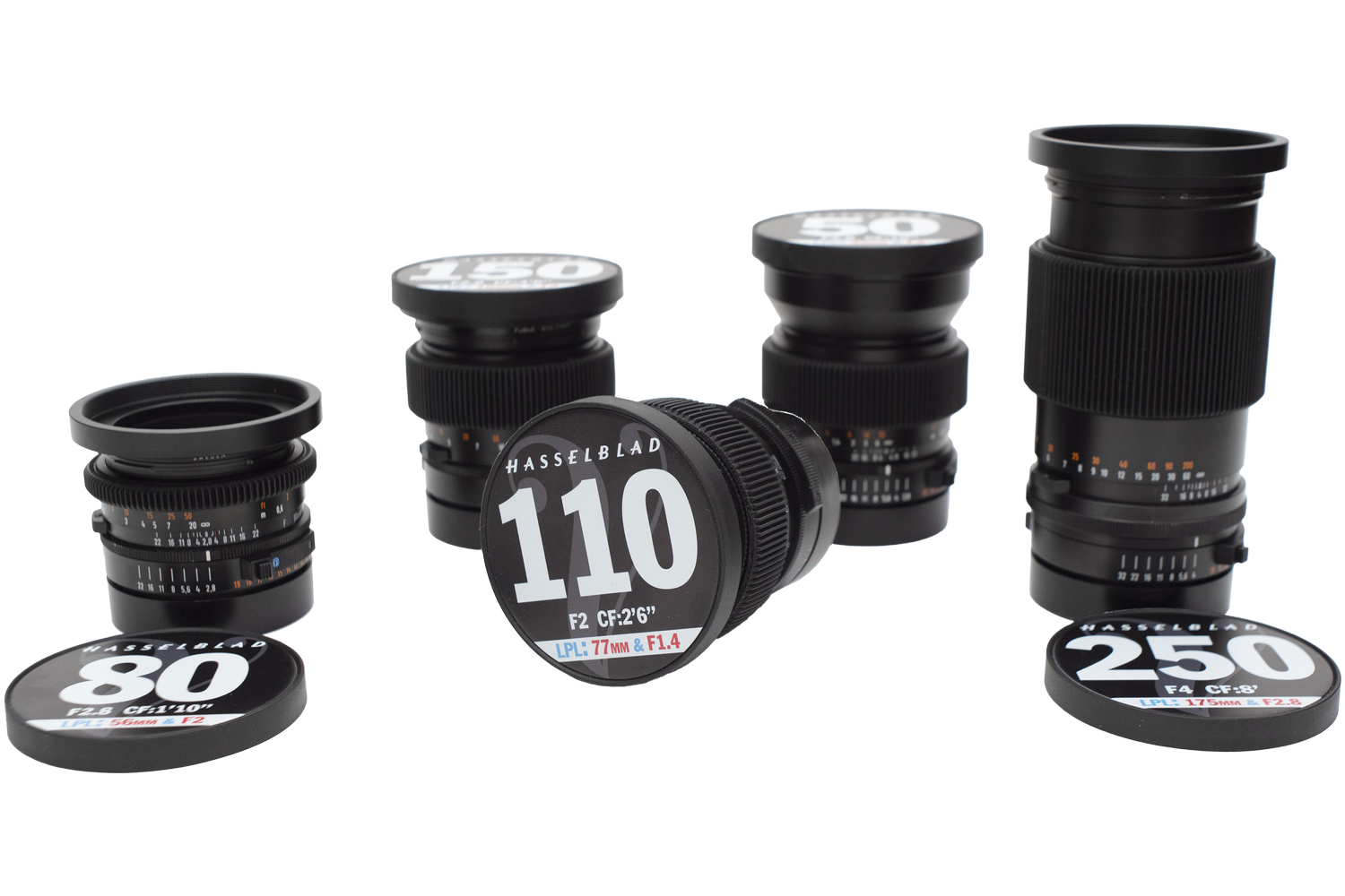 HASSELBLAD C
