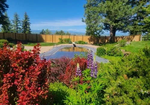 6 Important Questions to Ask Your Landscaping Company