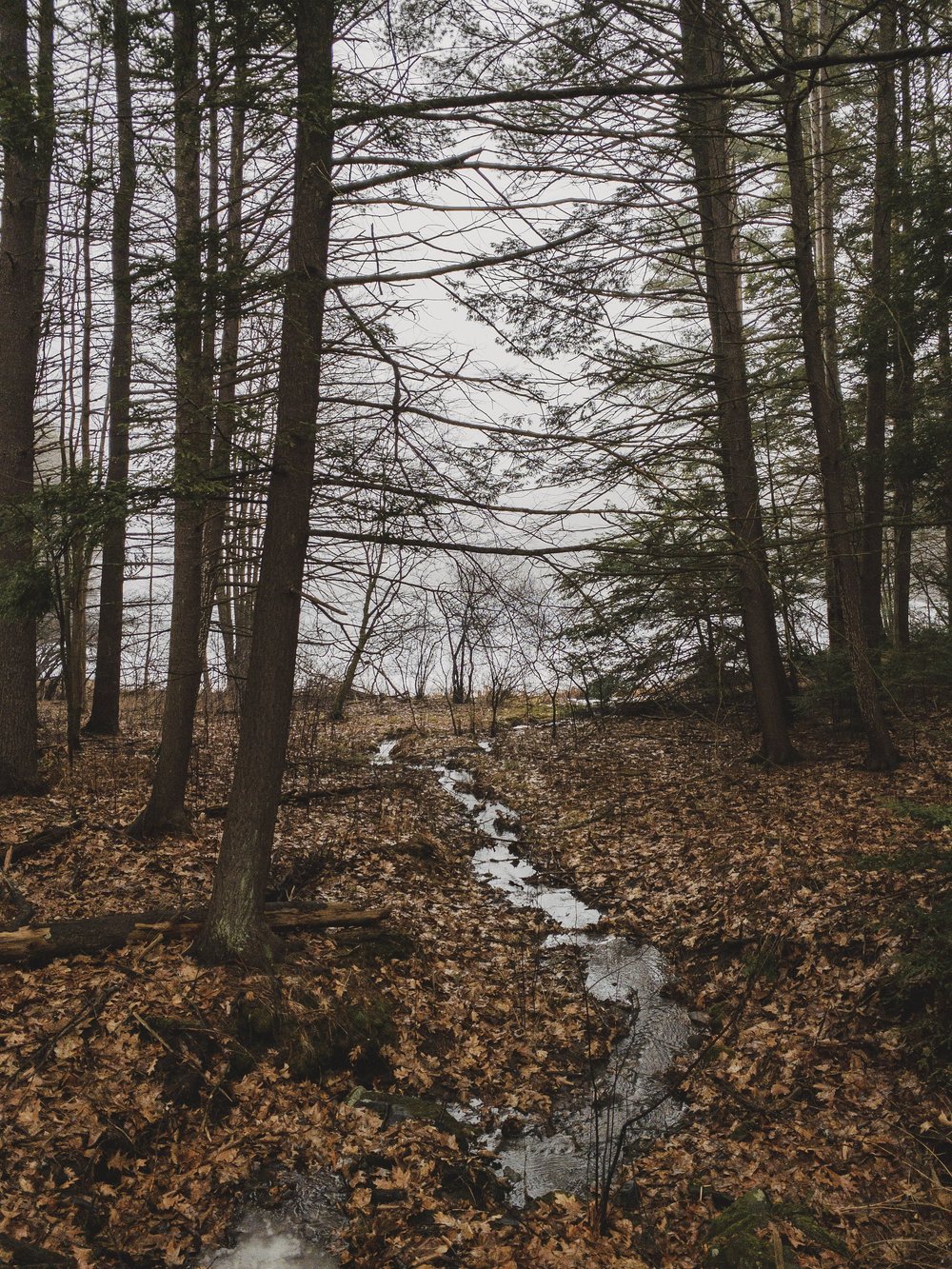 Community Resources — RISE! Readsboro