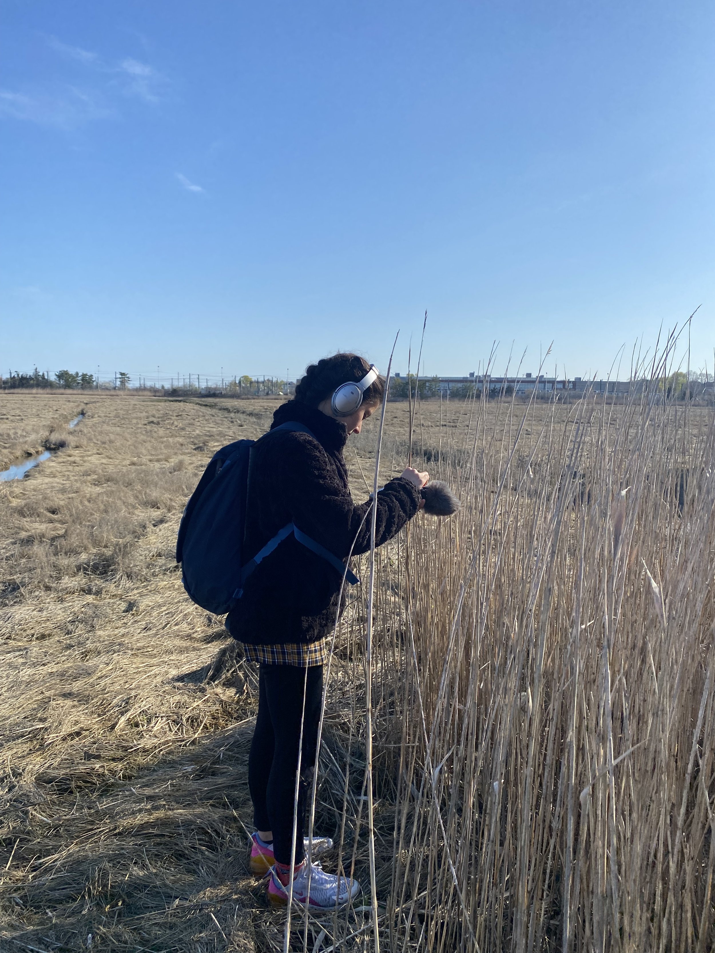 IMG_2952.jpeg