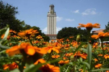 Orange and yellow flowers in the foreground with a tall, historic university building and trees in the background under a partly cloudy sky.