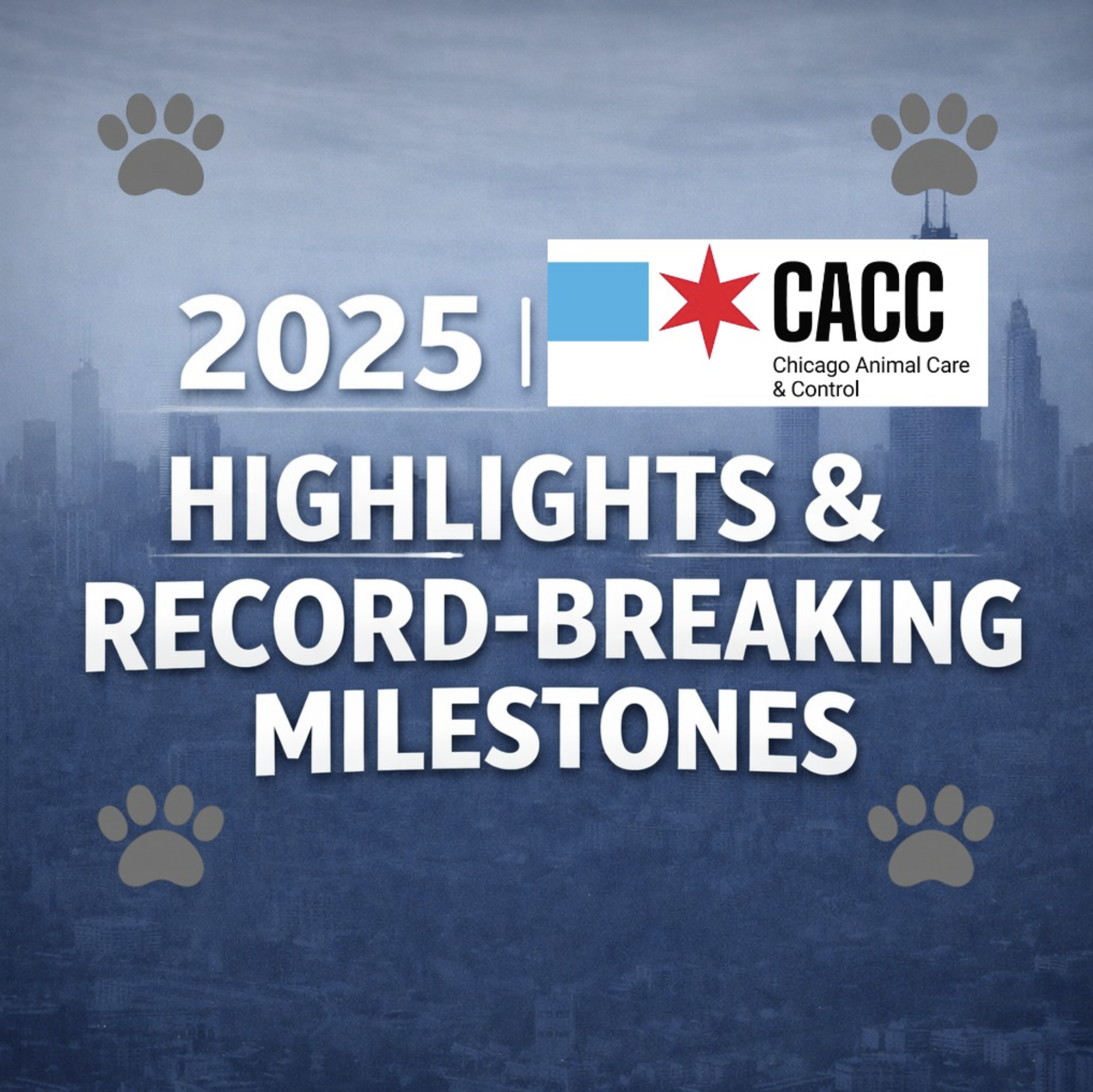 A digital graphic featuring the text '2025 Highlights & Record-Breaking Milestones' on a blue background with city skyline, paw prints, and a Chicago Animal Care & Control logo.