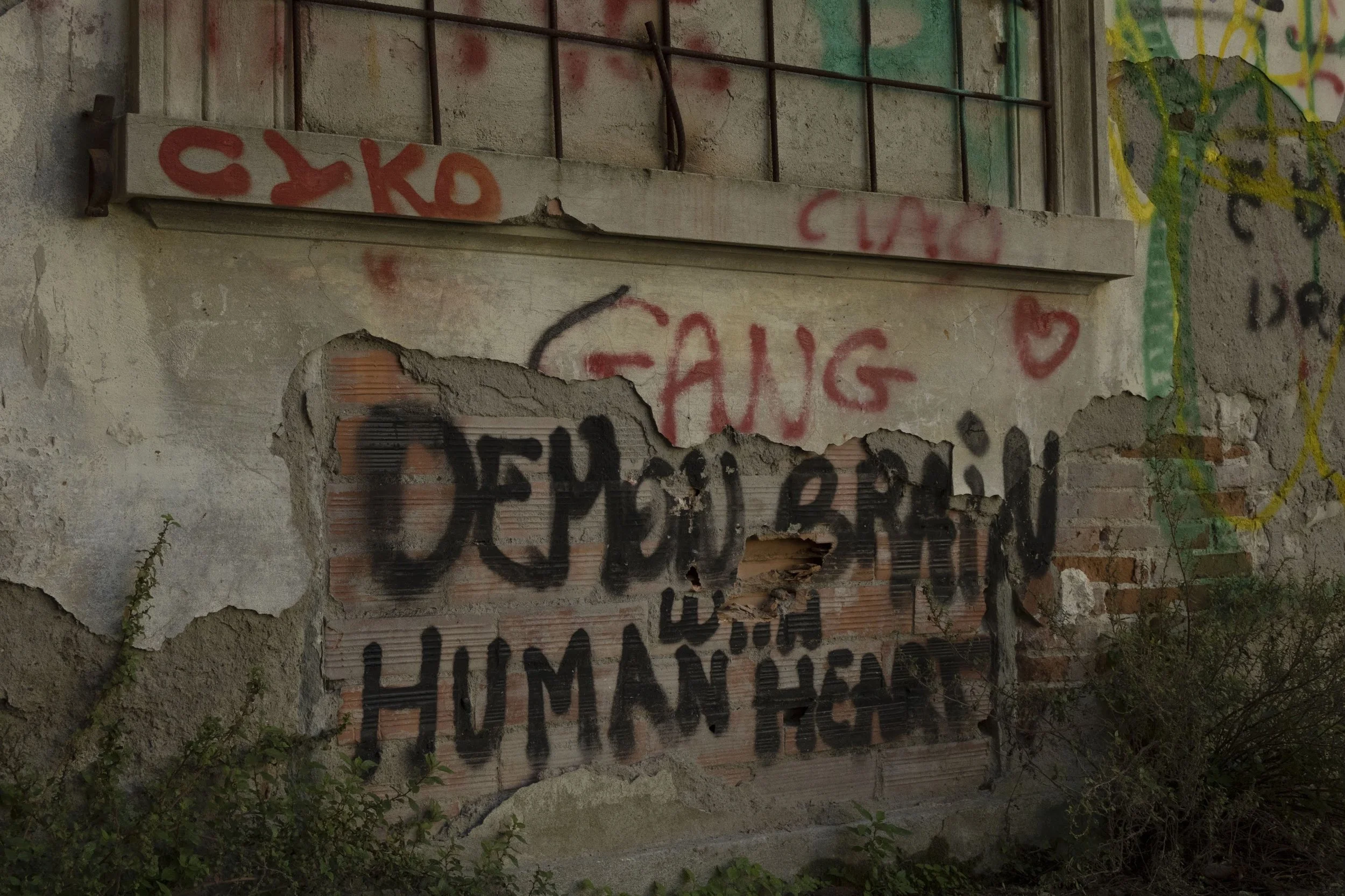 untitled, DSLR image, 2022