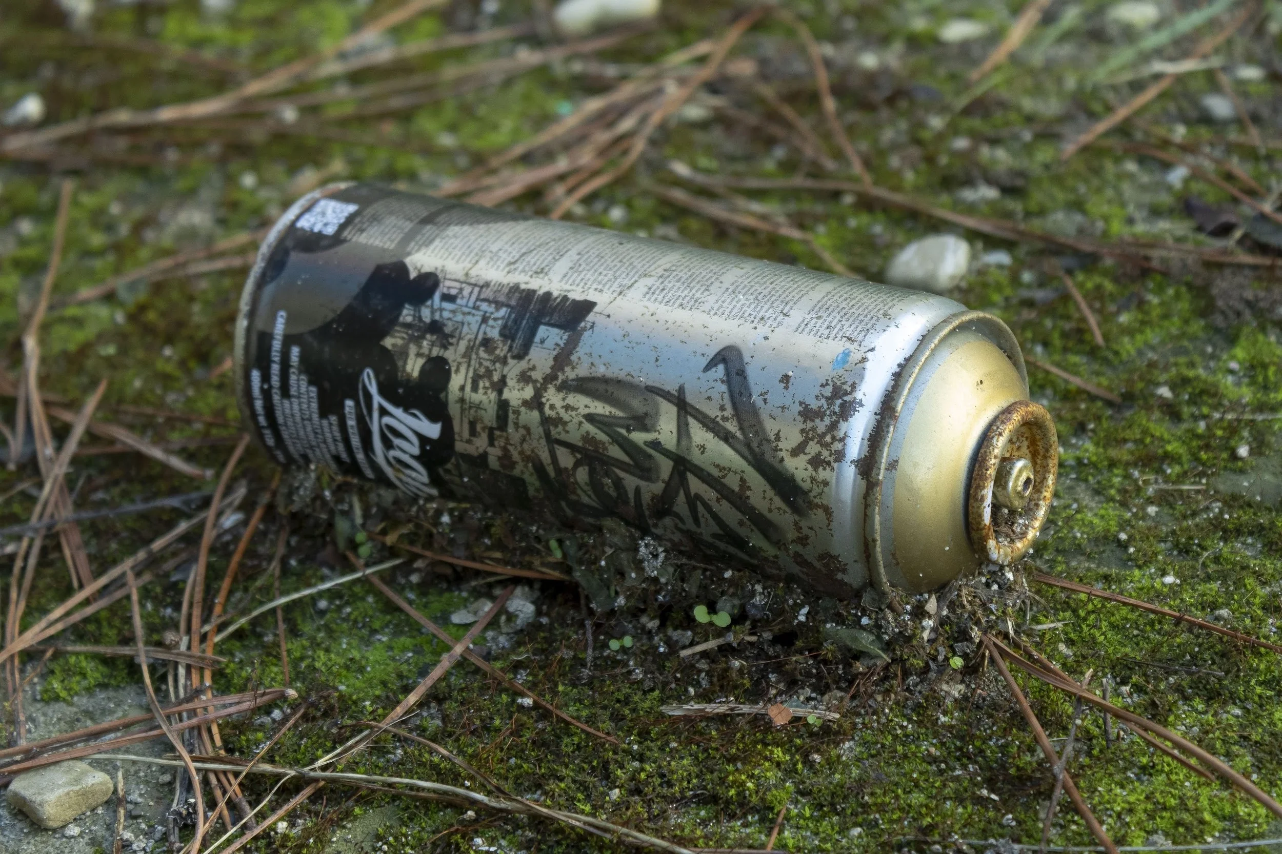 untitled, DSLR image, 2022