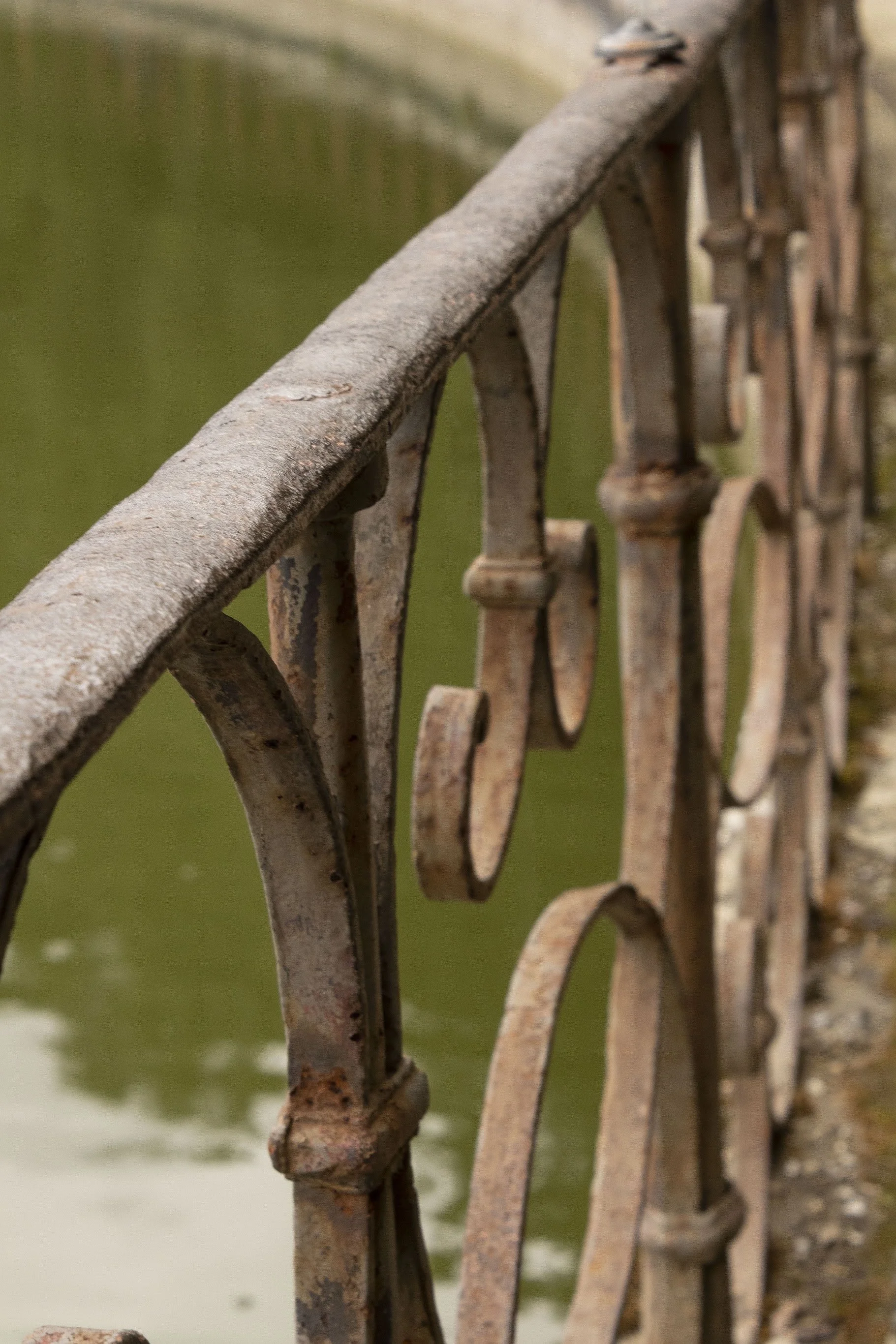 untitled, DSLR image, 2022