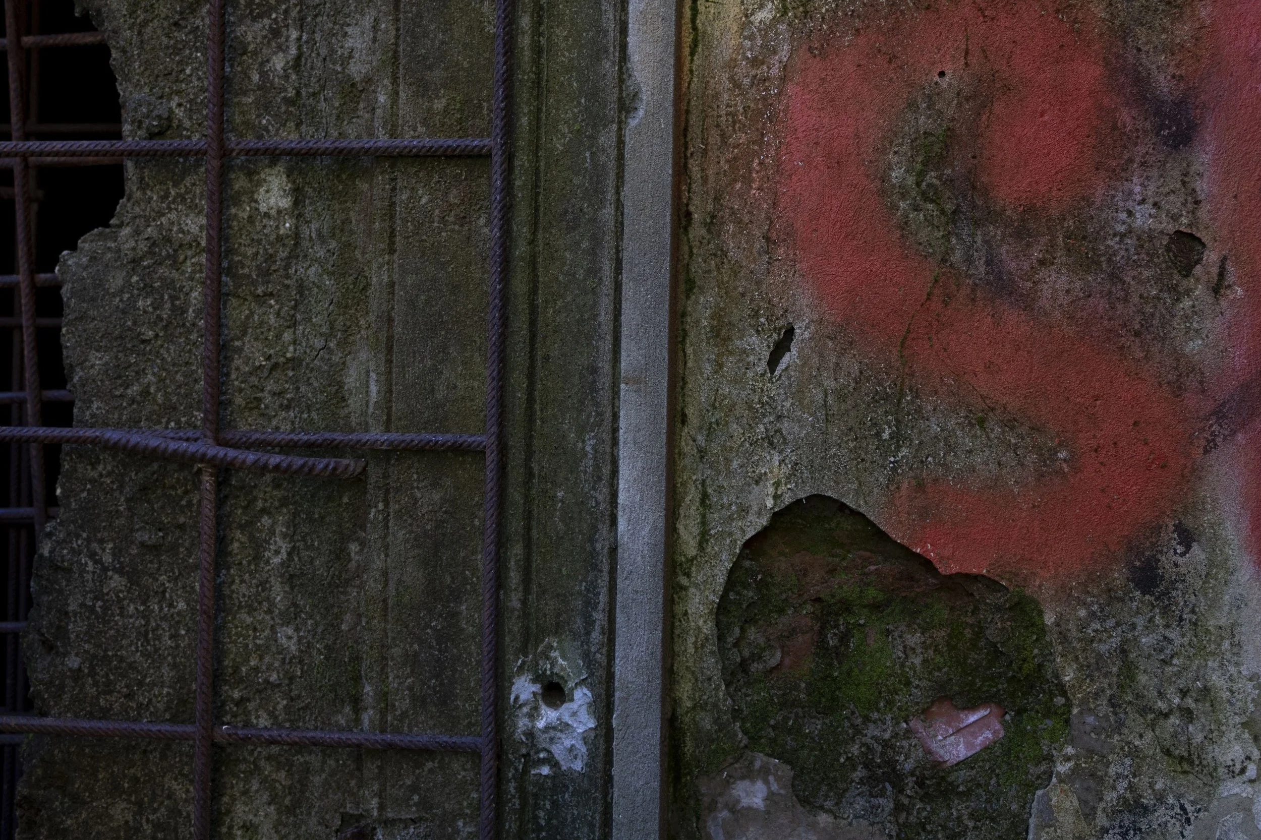 untitled, DSLR image, 2022