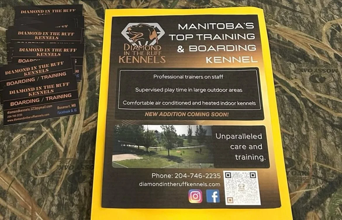 ***Training Opportunity ***
We had a couple spots open up for training in January and one in February. 
(Week or Month program) 
Call asap 

Plan /Train /Succeed
Performance Training 
Diamond In The Ruff Kennels 
204.746.2235