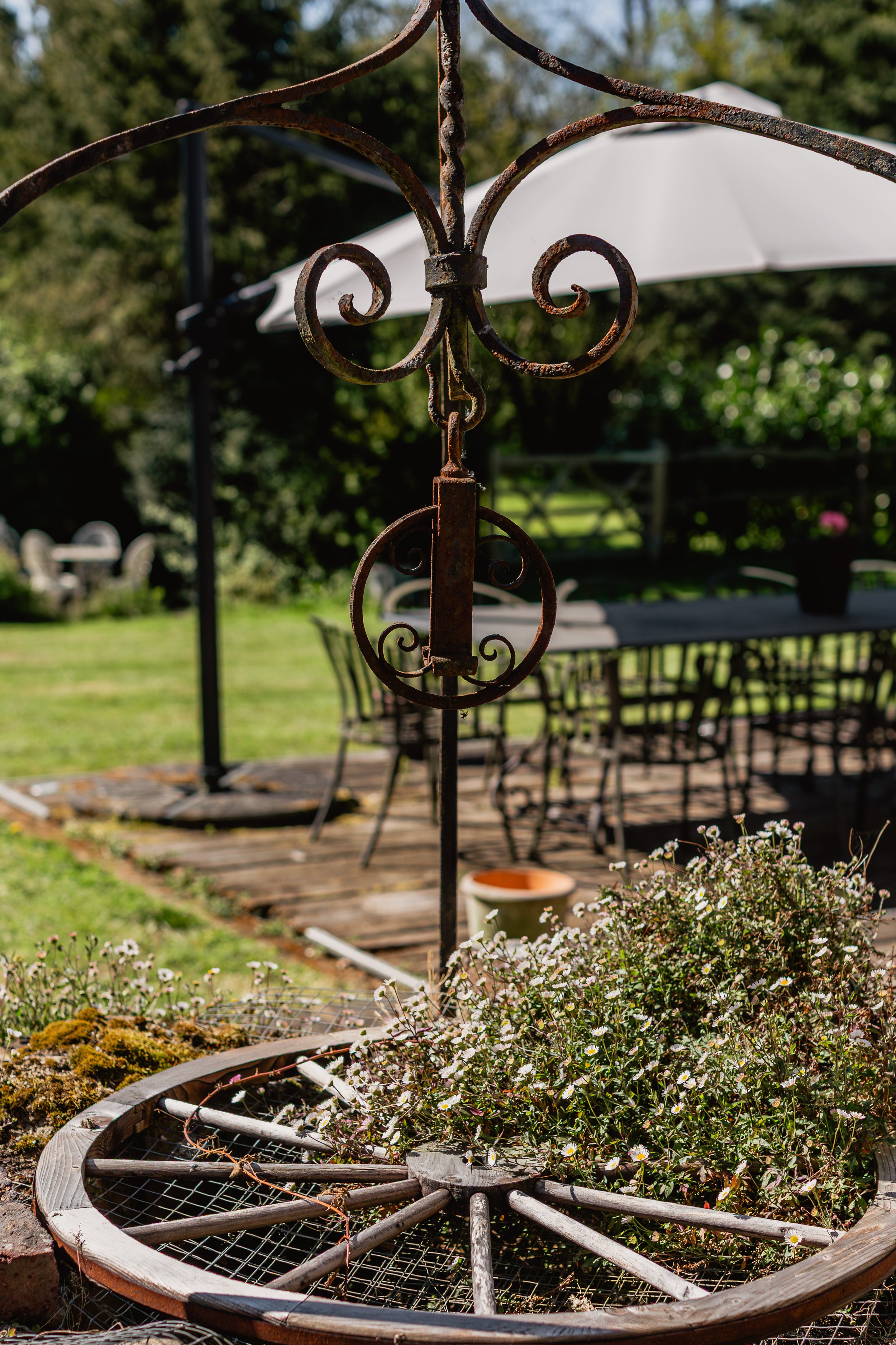 CogmansFarm-43.jpg