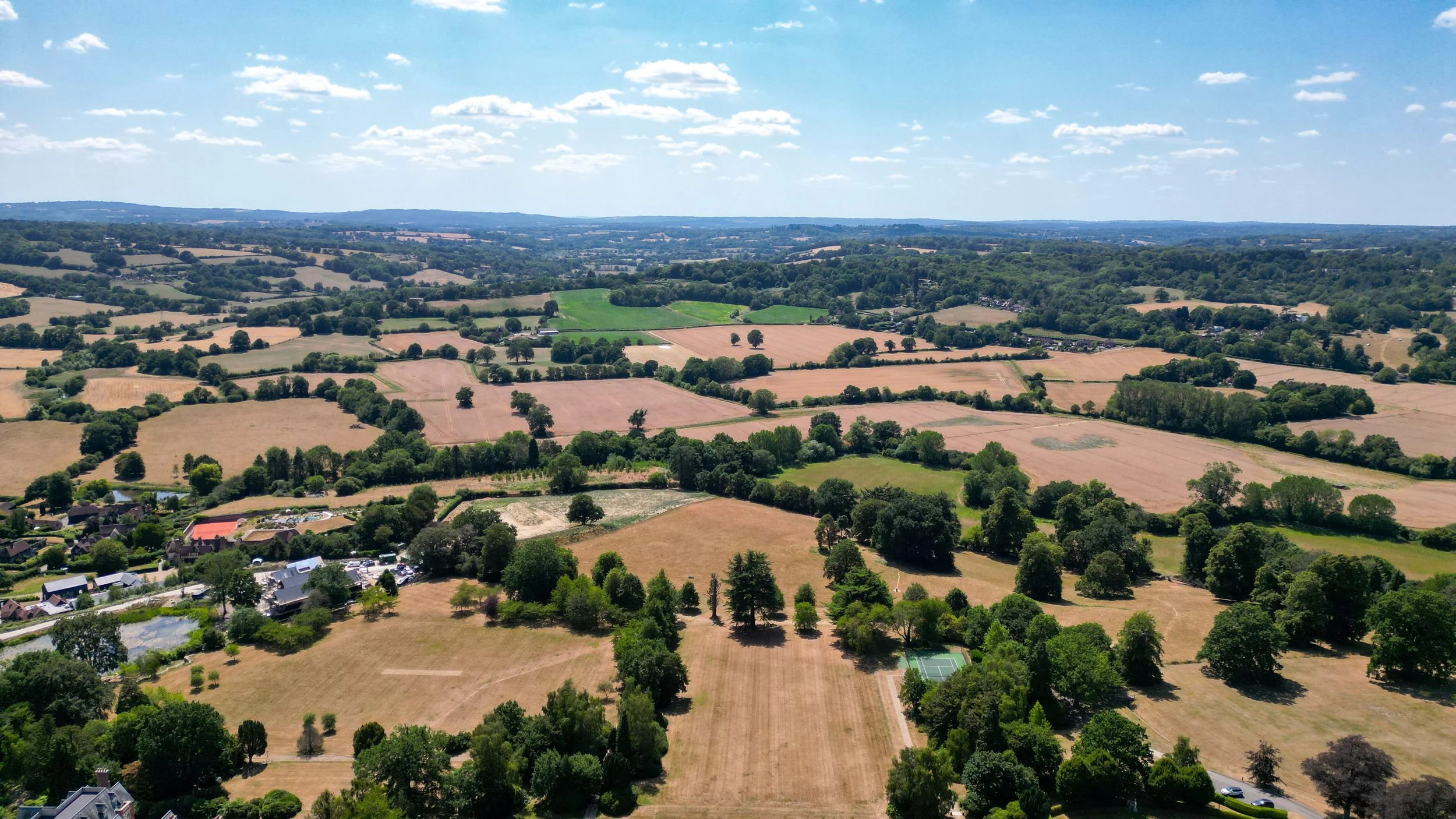 Swaylands 5.jpg