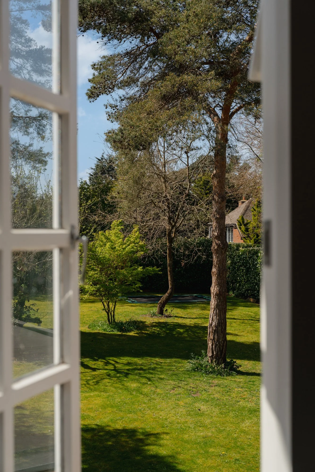 HighResolution 68-2.jpg