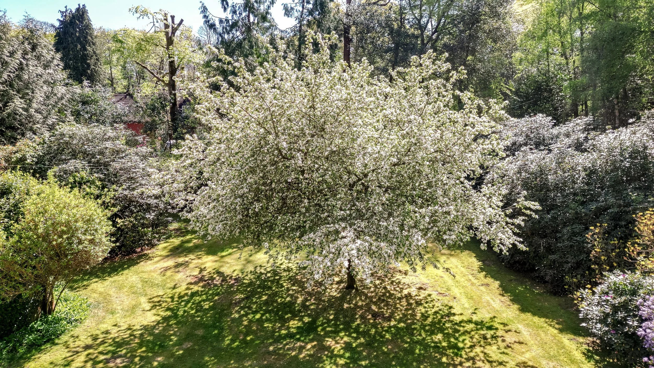 DJI_0963.jpg