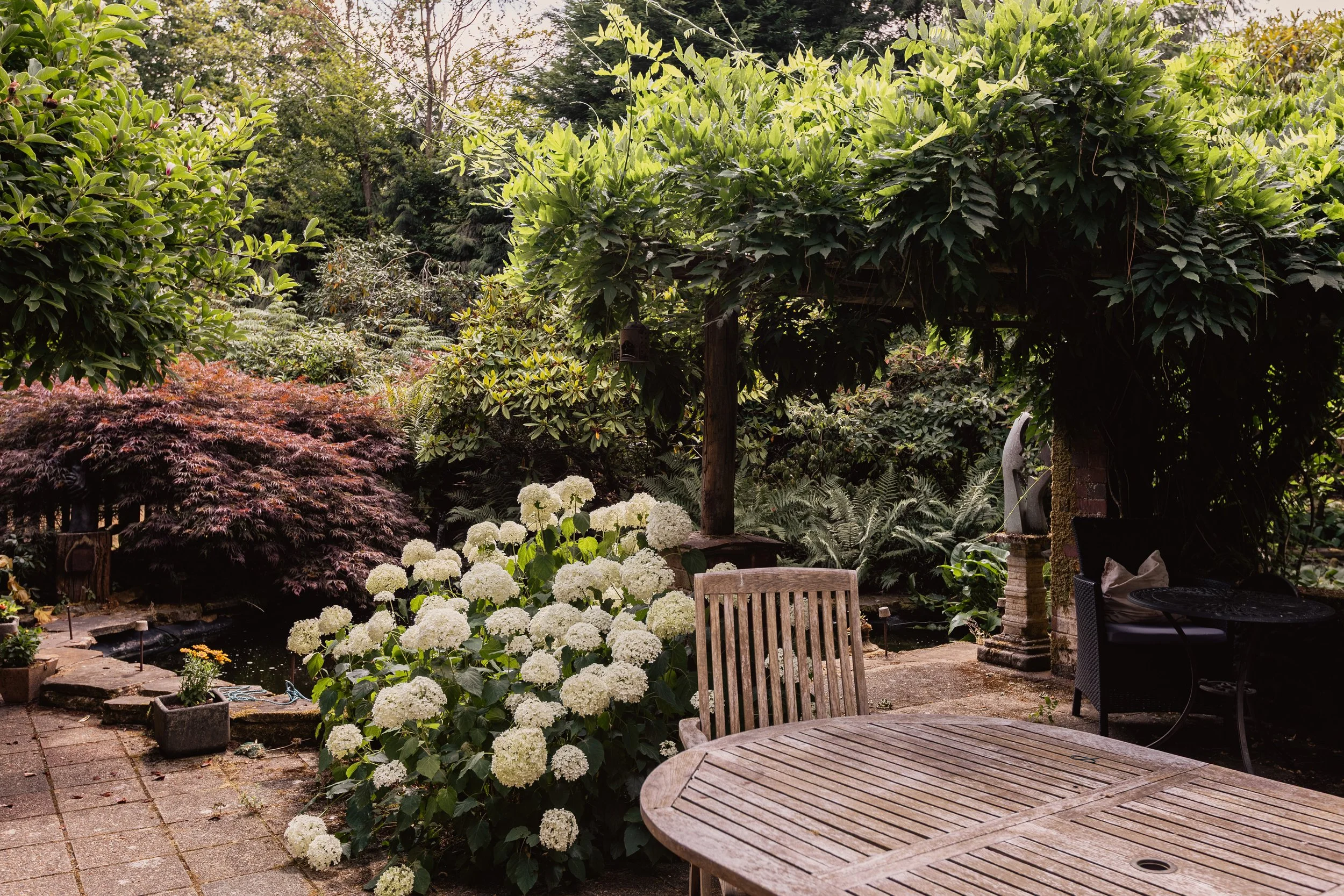 BirchesLane,Gomshall-86.jpg