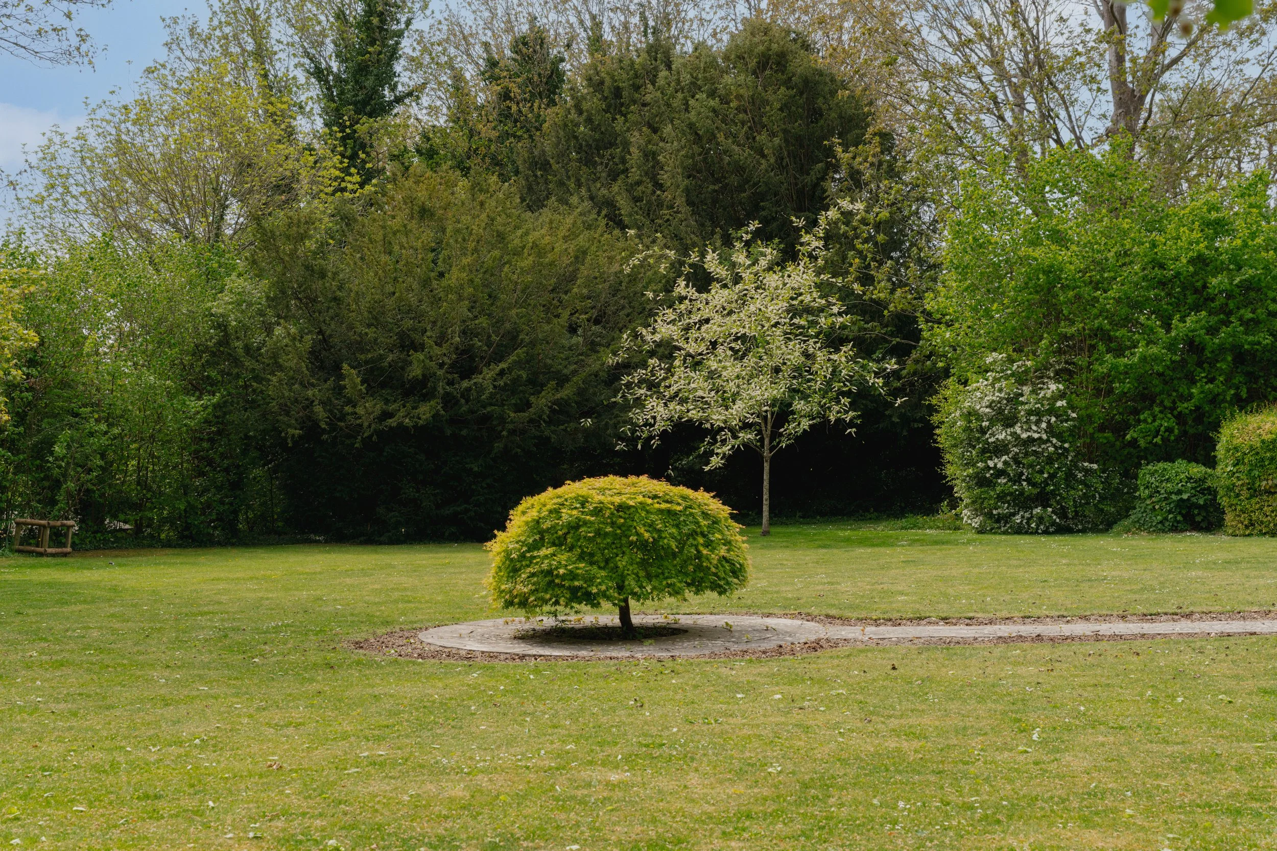HighResolution 54-2.jpg