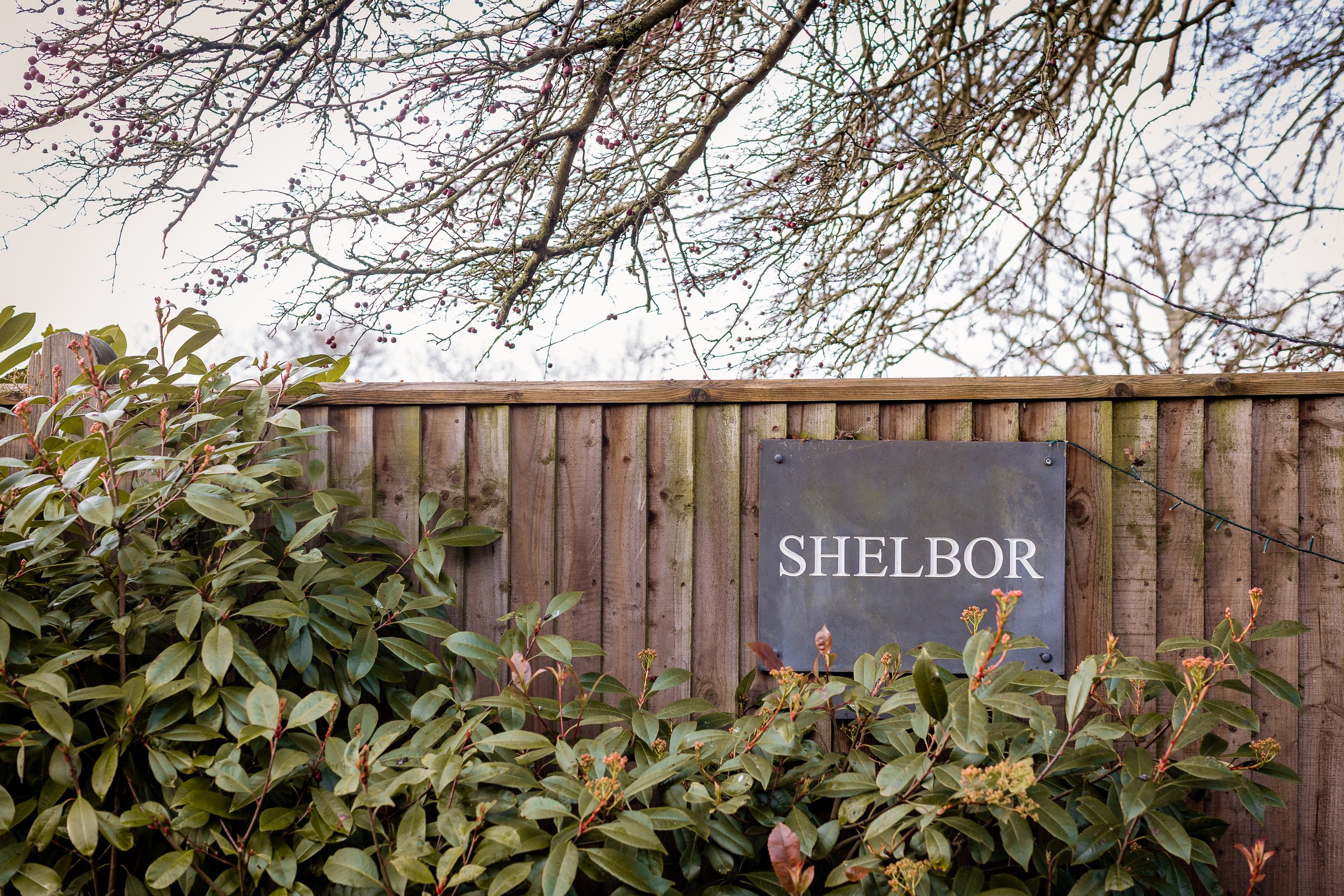 Shelbor,Edenbridge_Jan25-1.jpg