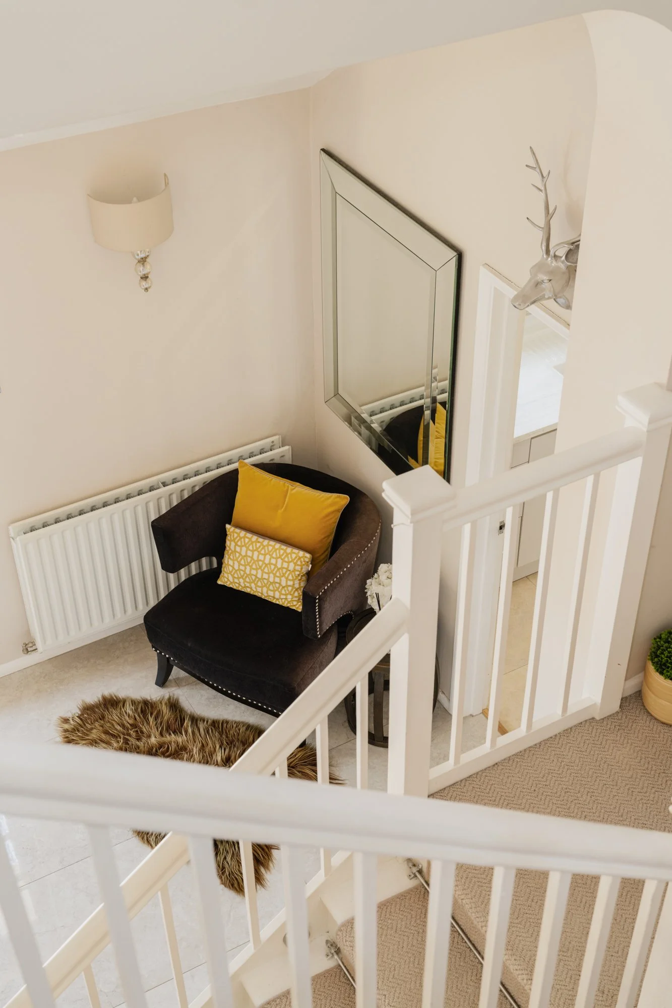 HighResolution 11-2.jpg