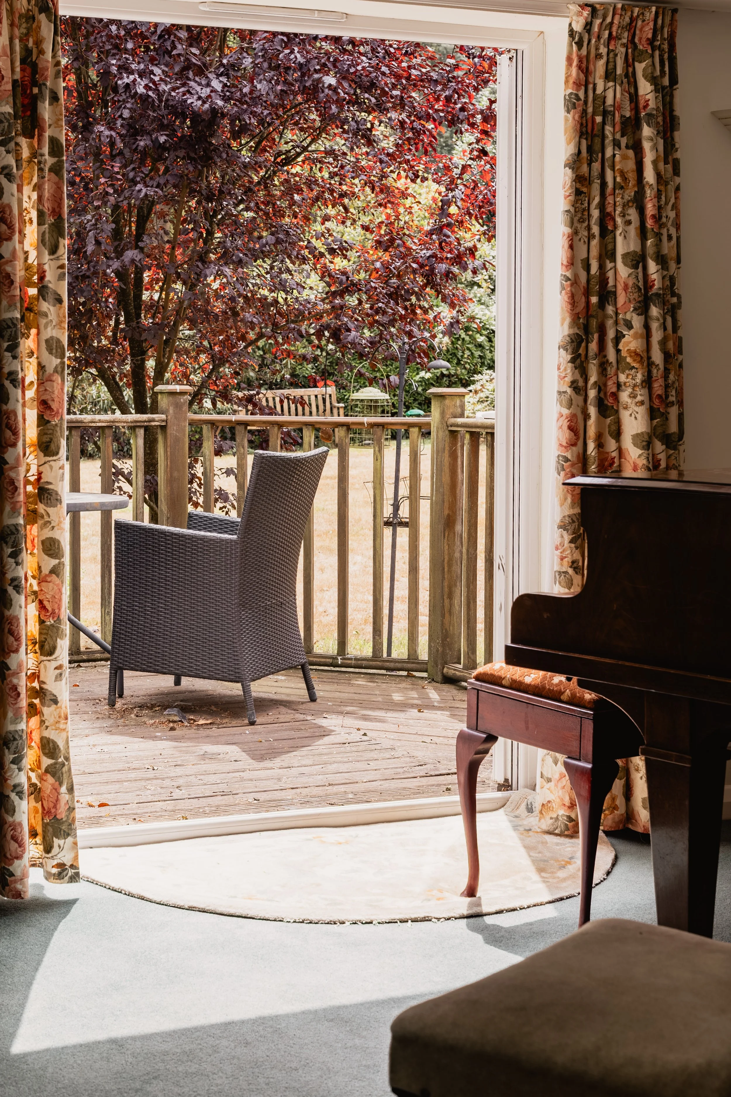 BirchesLane,Gomshall-65.jpg