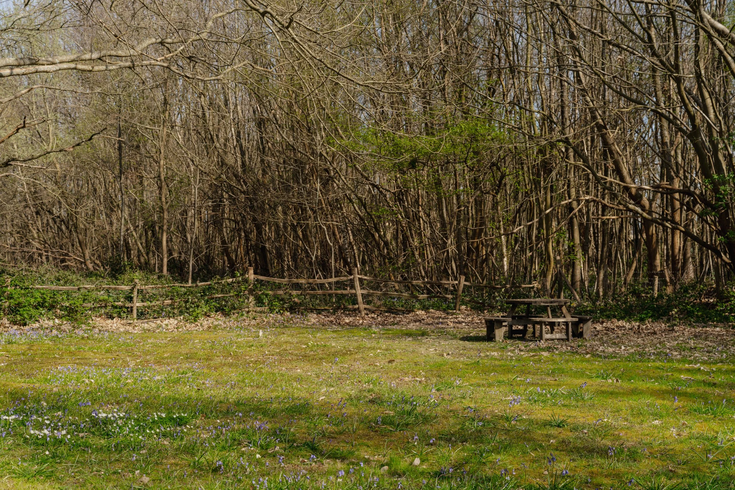 HighResolution 63.jpg