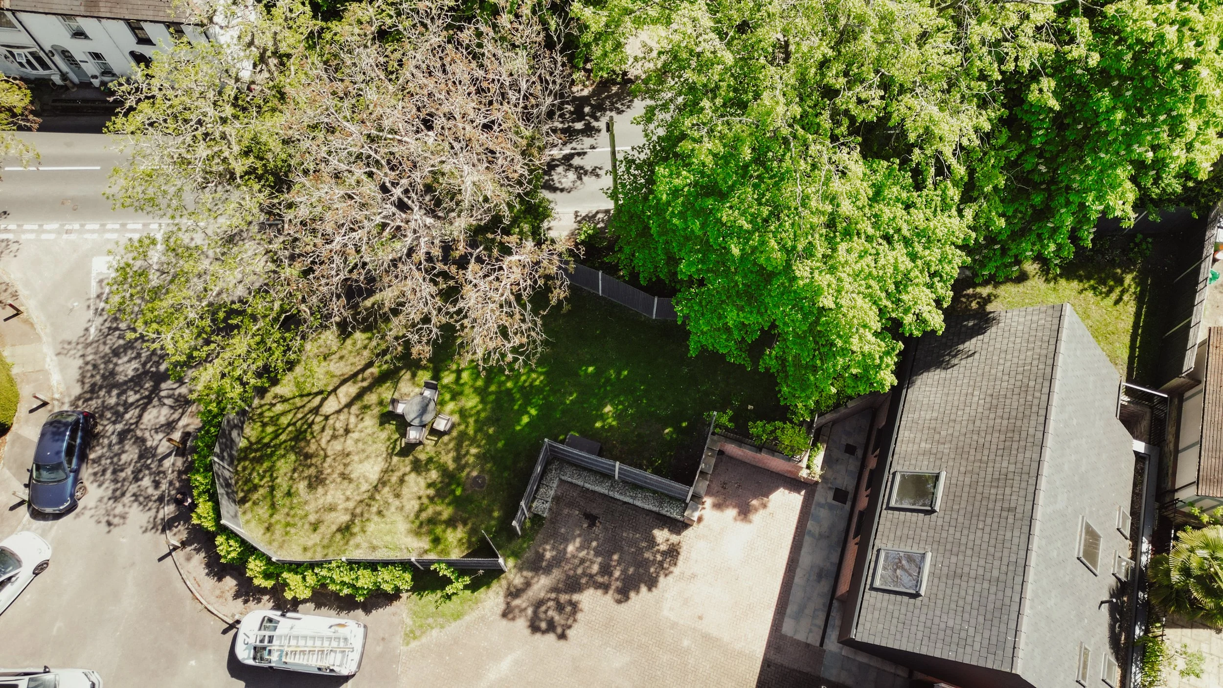 DJI_0980.jpg