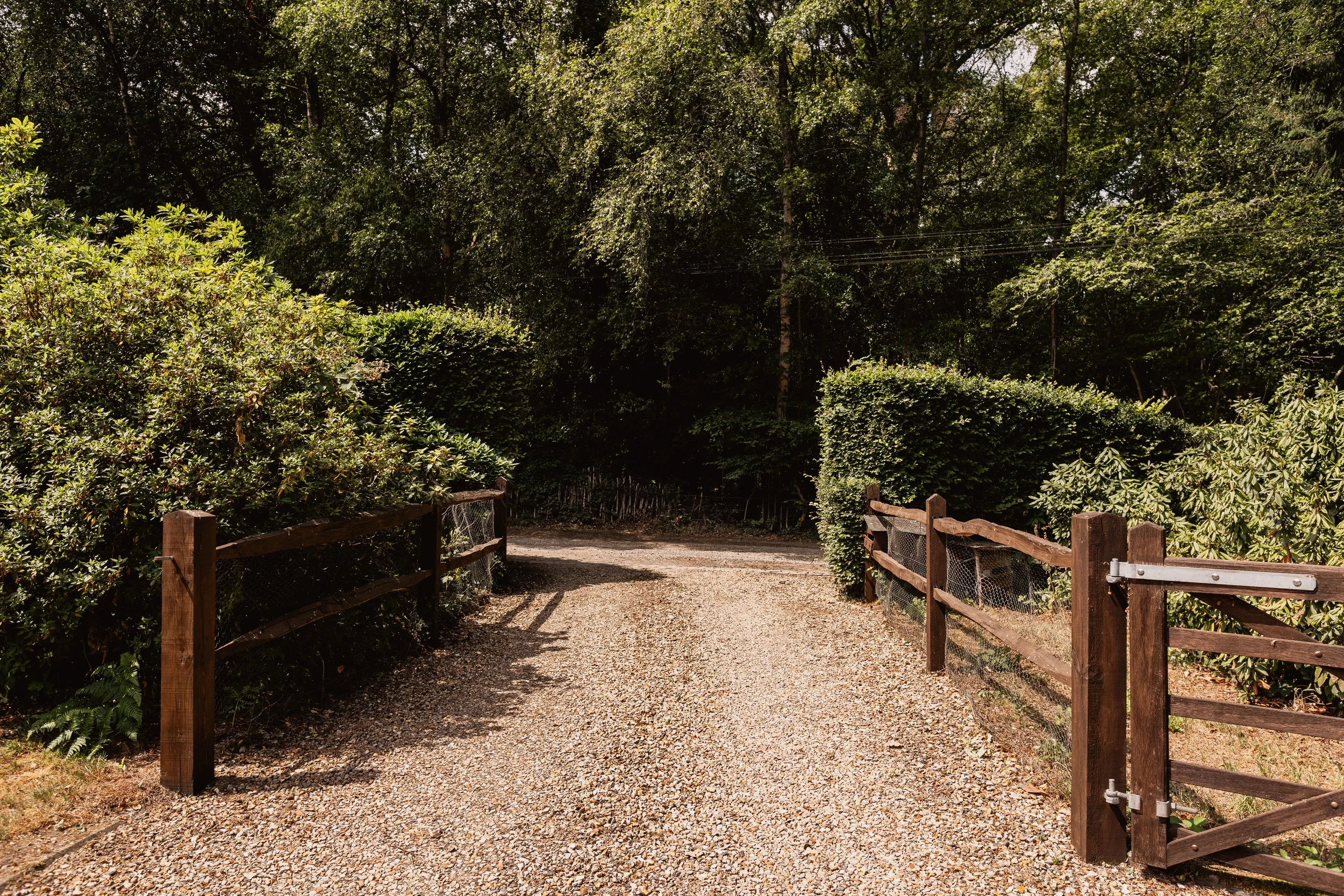 BirchesLane,Gomshall-82.jpg