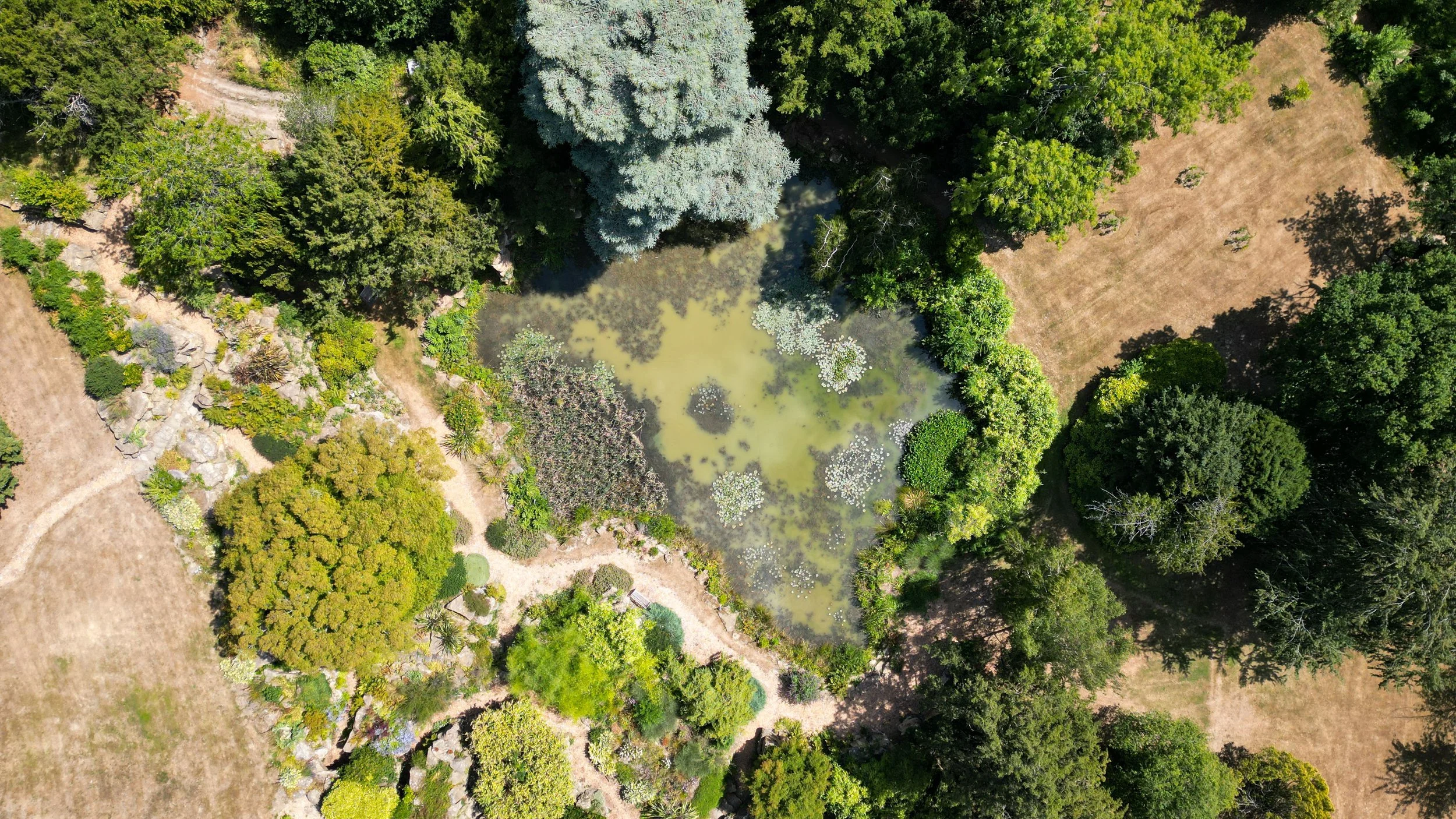 Swaylands 7.jpg