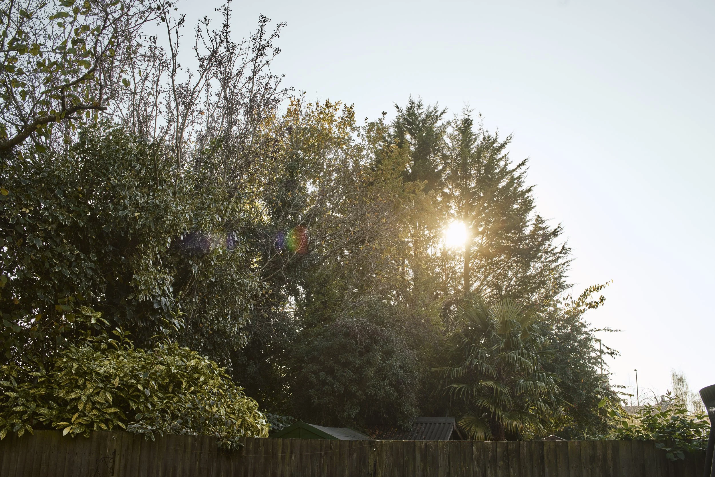 SHAFTESBURY_ROAD_EXTERNALS_049.jpg