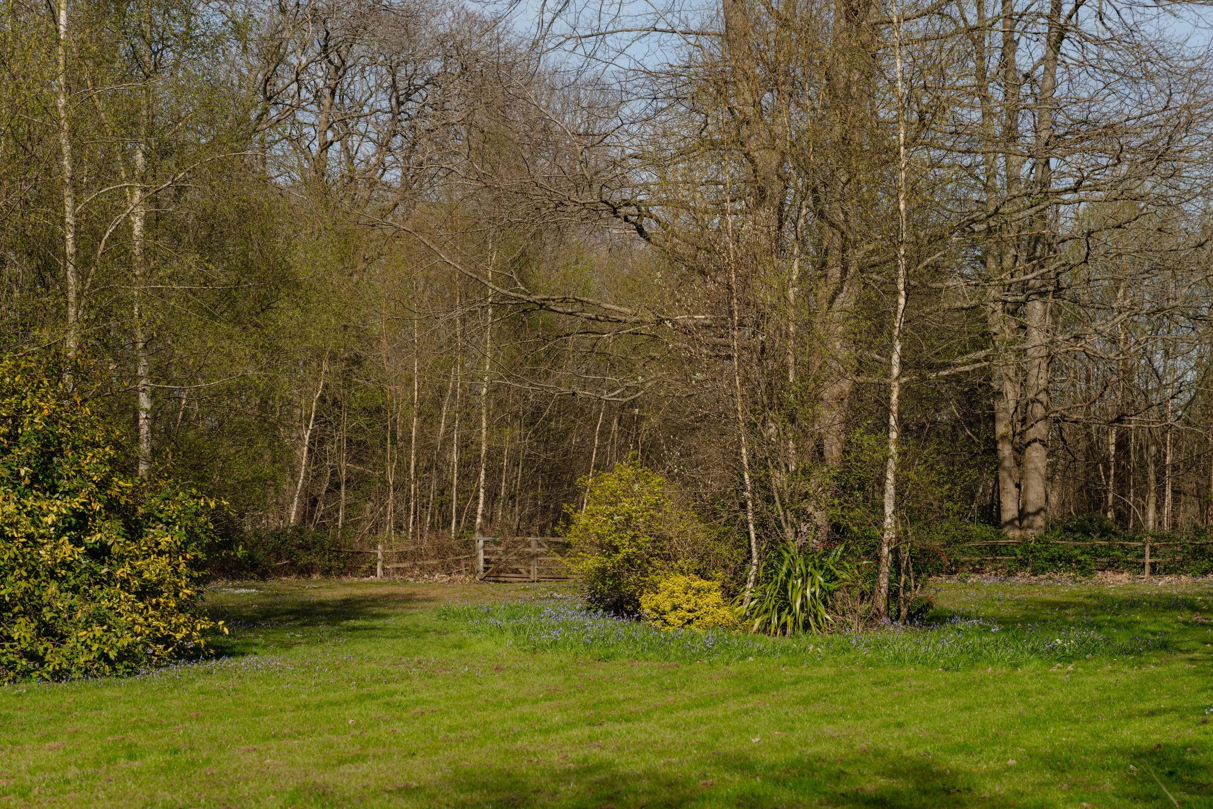 HighResolution 62.jpg