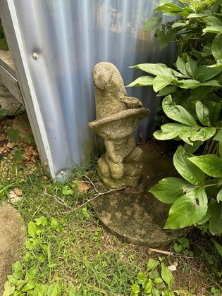 IMG_2554.jpeg
