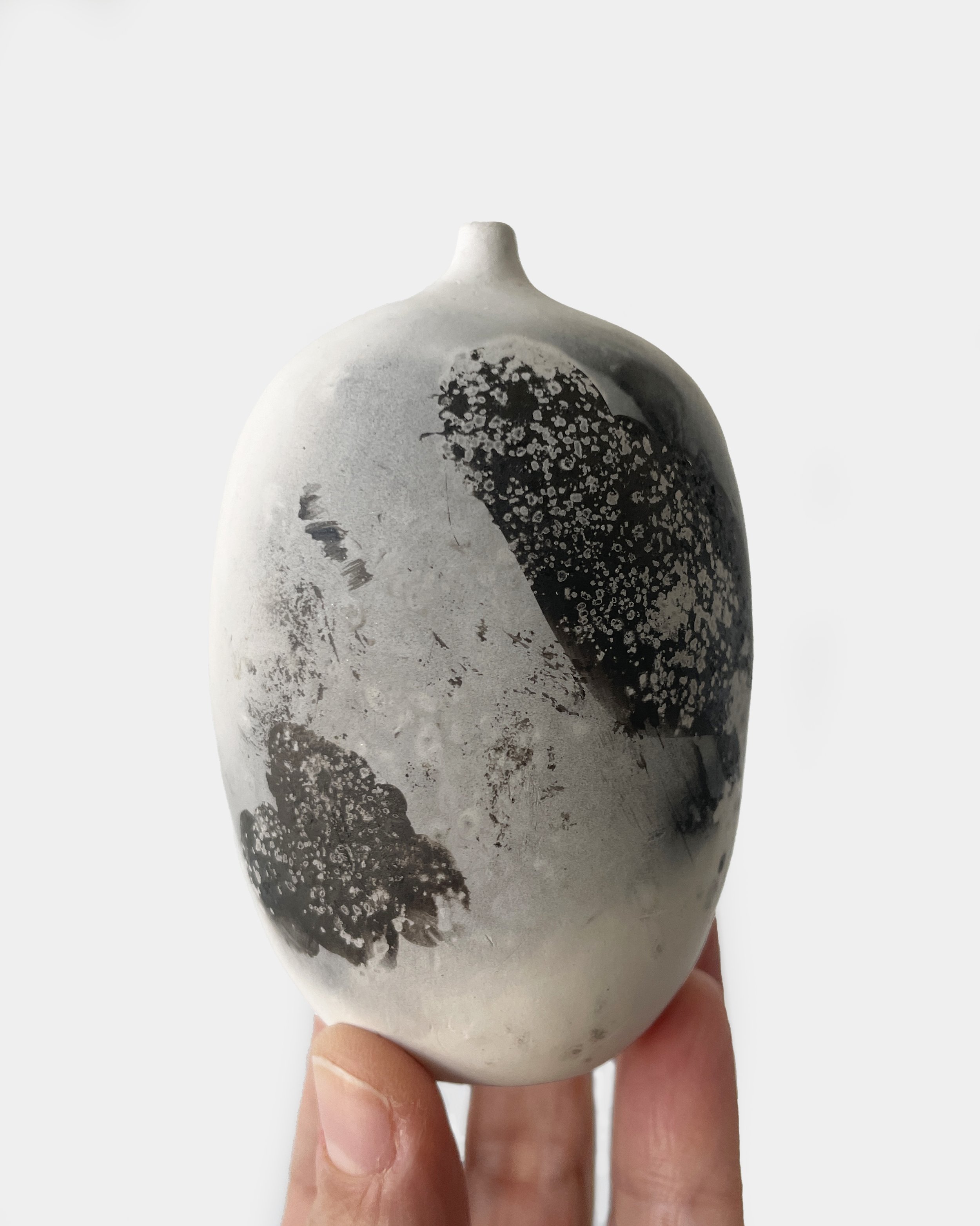  Coffee grounds &amp; pecan shells 