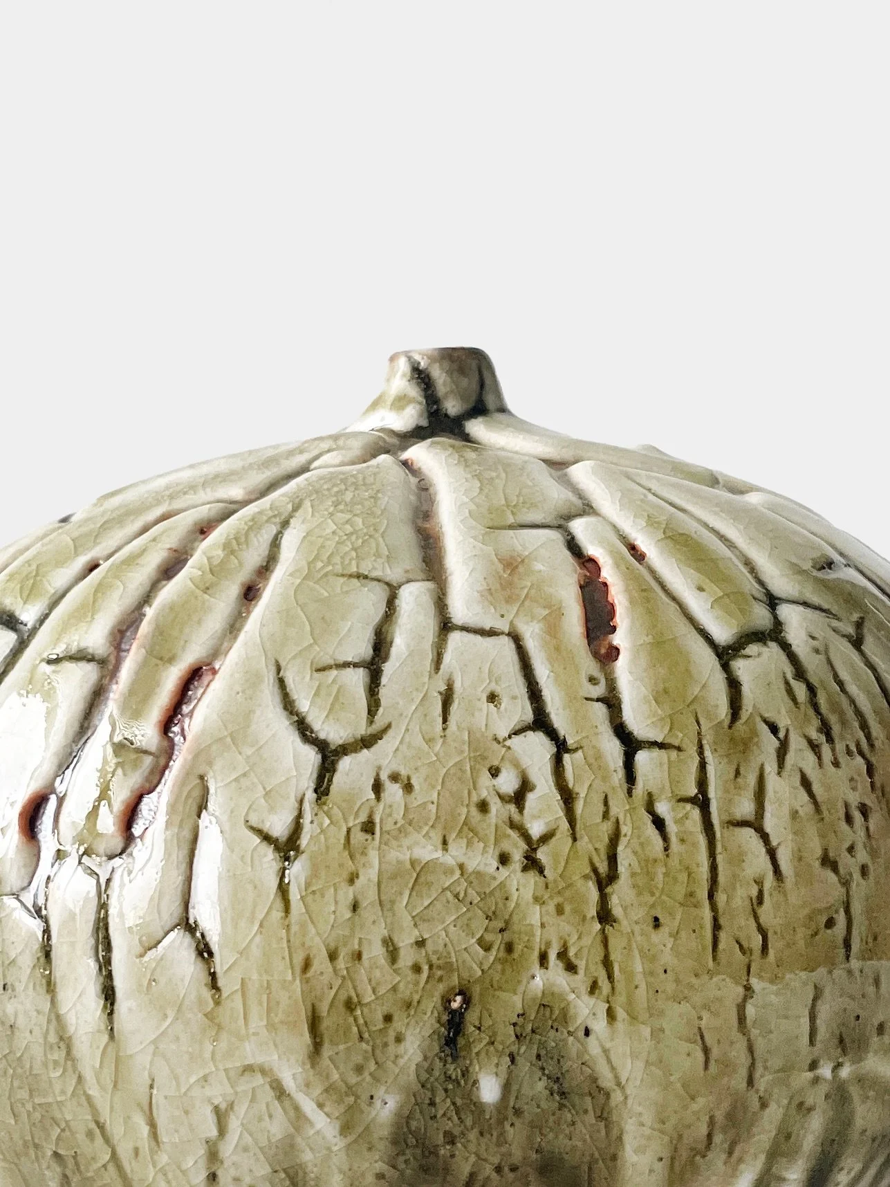 From the latest Shino firing @eastsidepotshop 

#shinoglaze #modernceramics #shinofiring