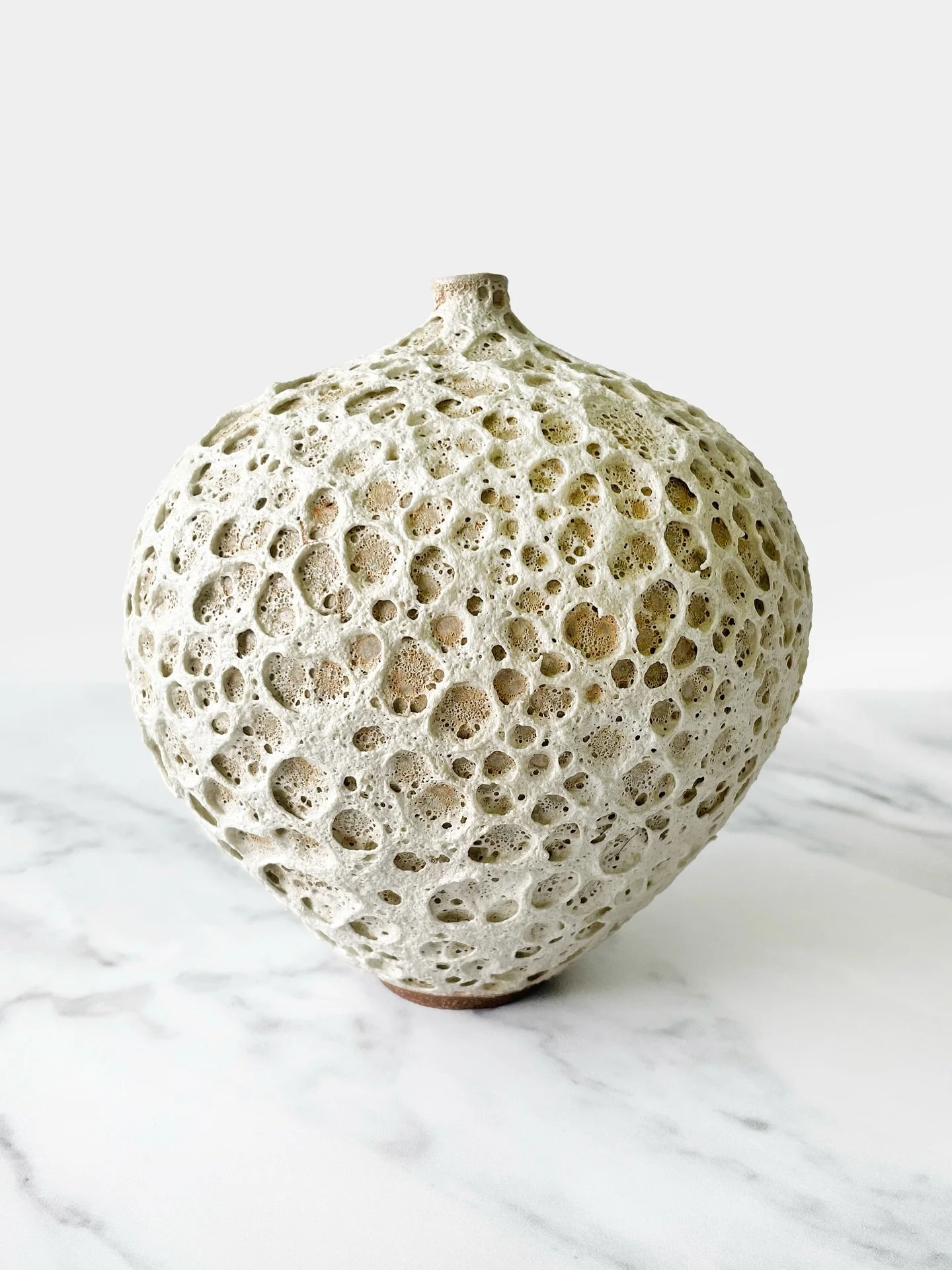 Definitely making more of this glaze.

#lavaglaze #cone10reduction #modernceramics