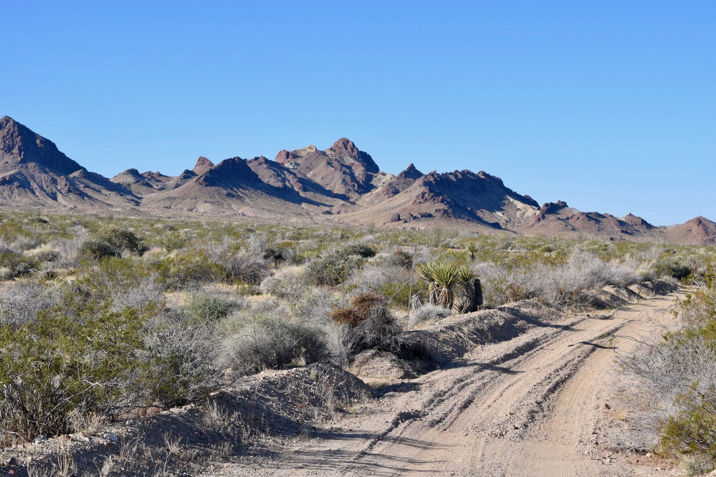 Mojave003.jpeg