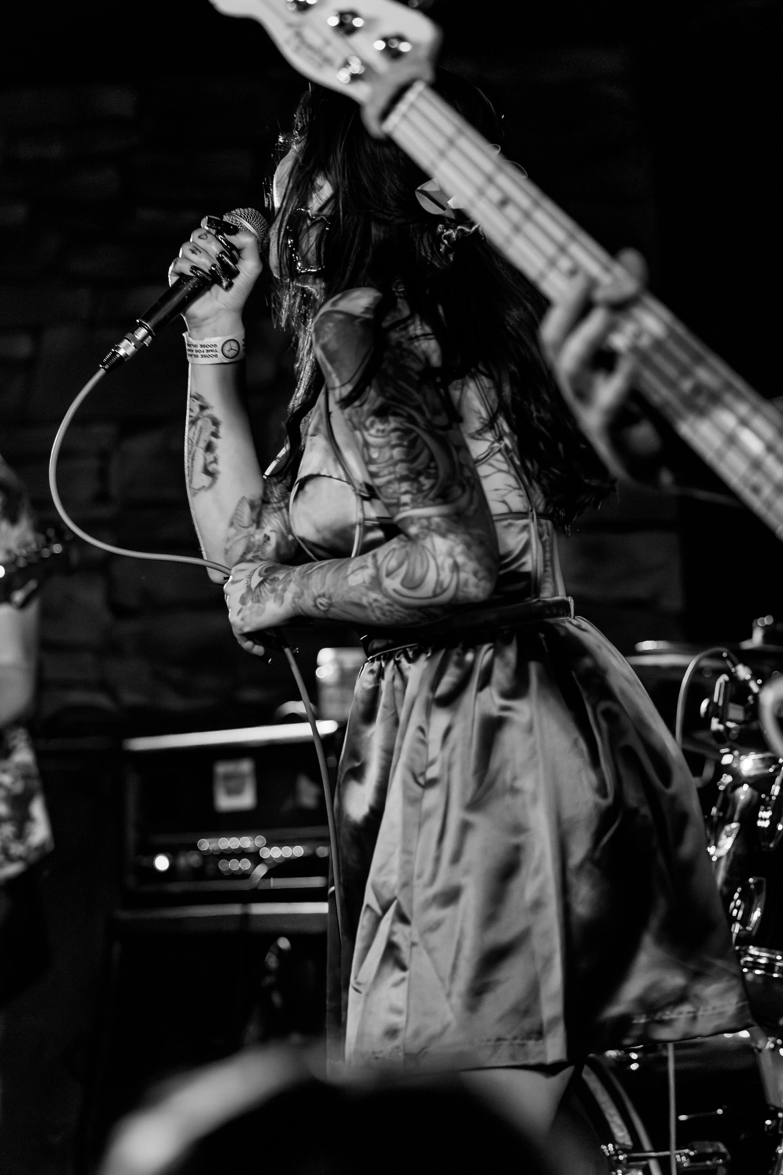 Snuffed cobra (1 of 18).jpg