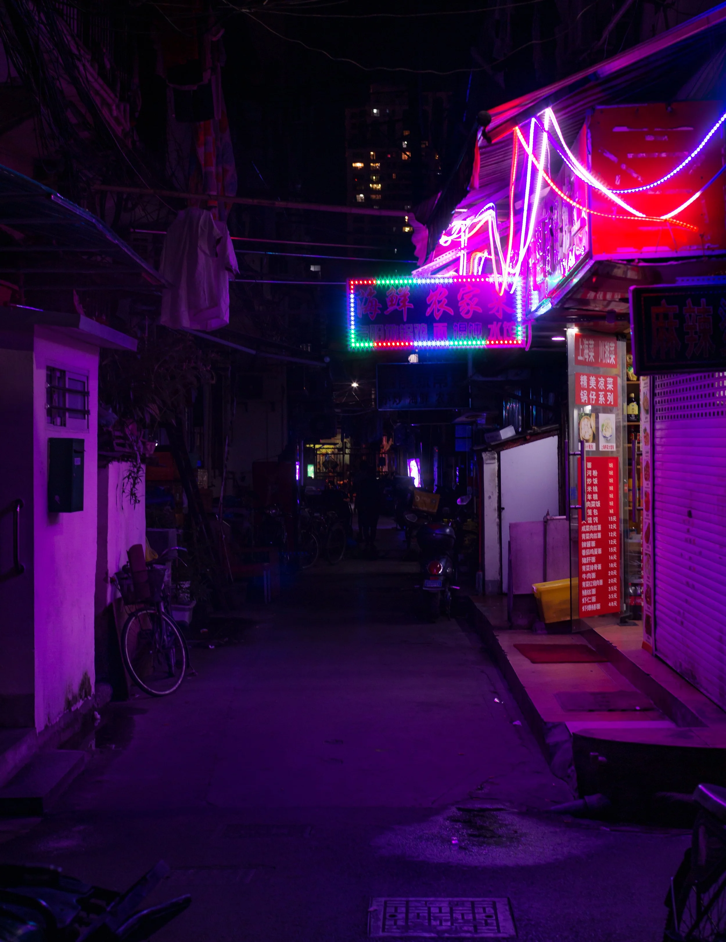 NEon city shanghai again-3.jpg