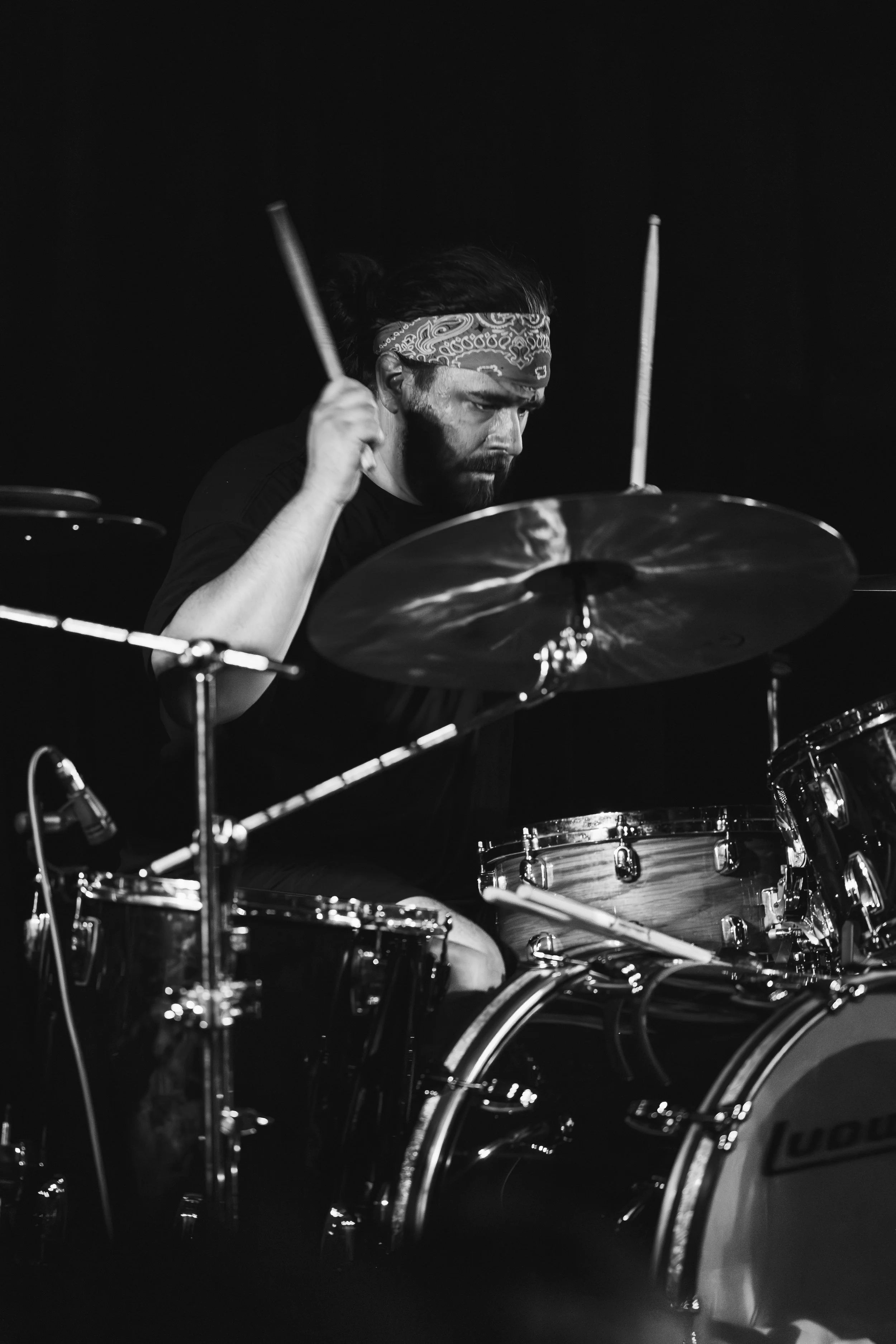 Snuffed cobra (18 of 18).jpg