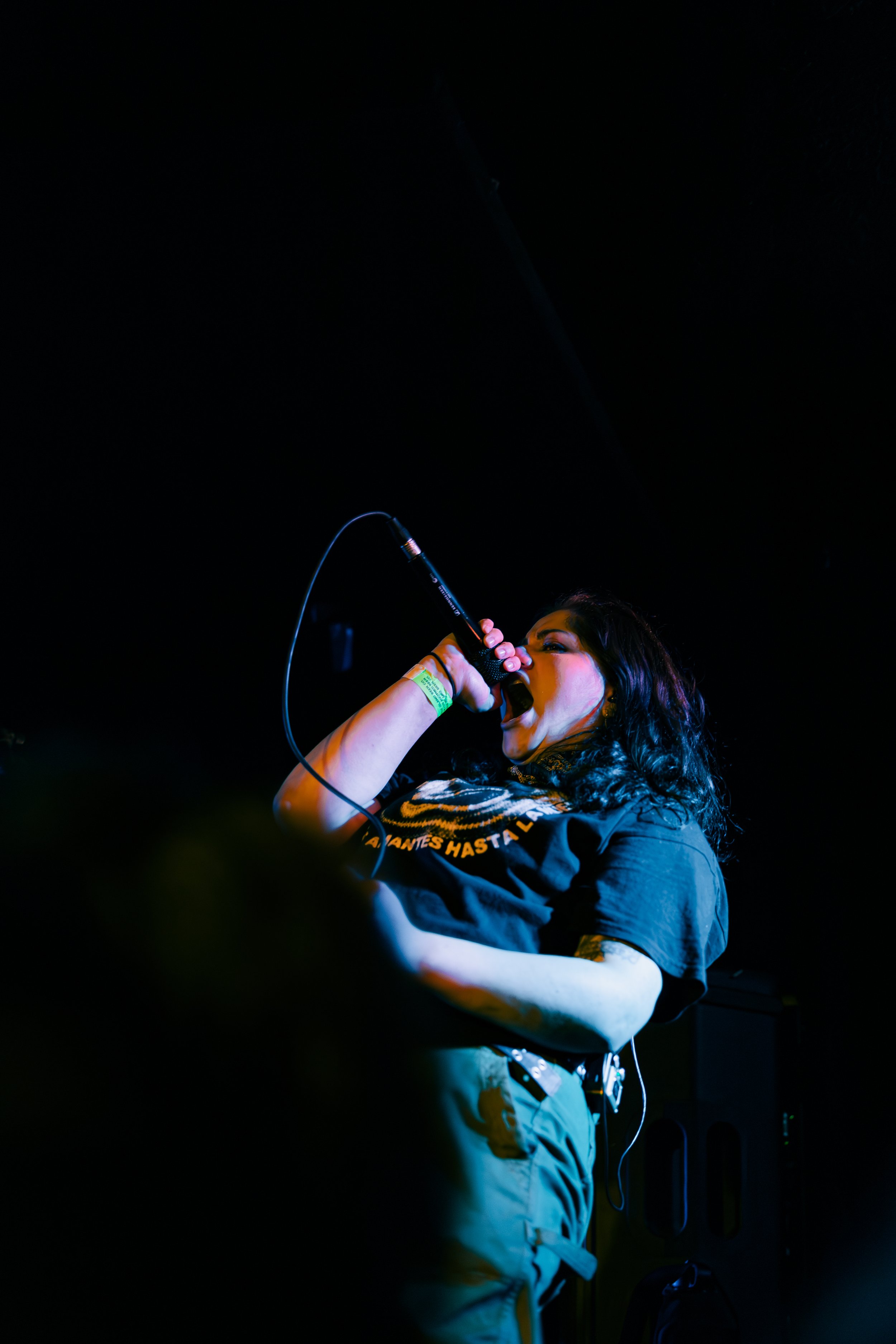 KM cobra (8 of 20).jpg