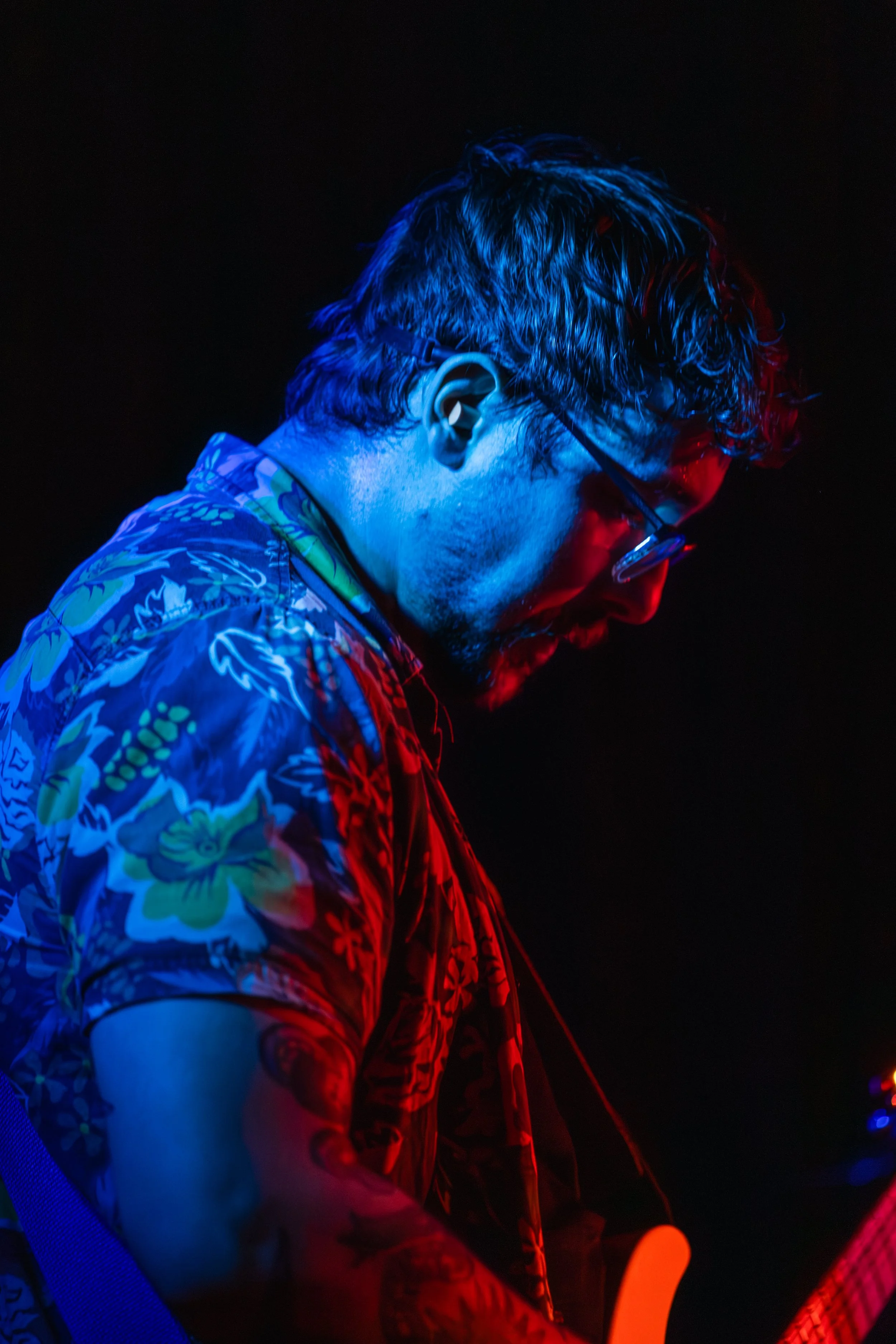 Snuffed cobra (14 of 18).jpg