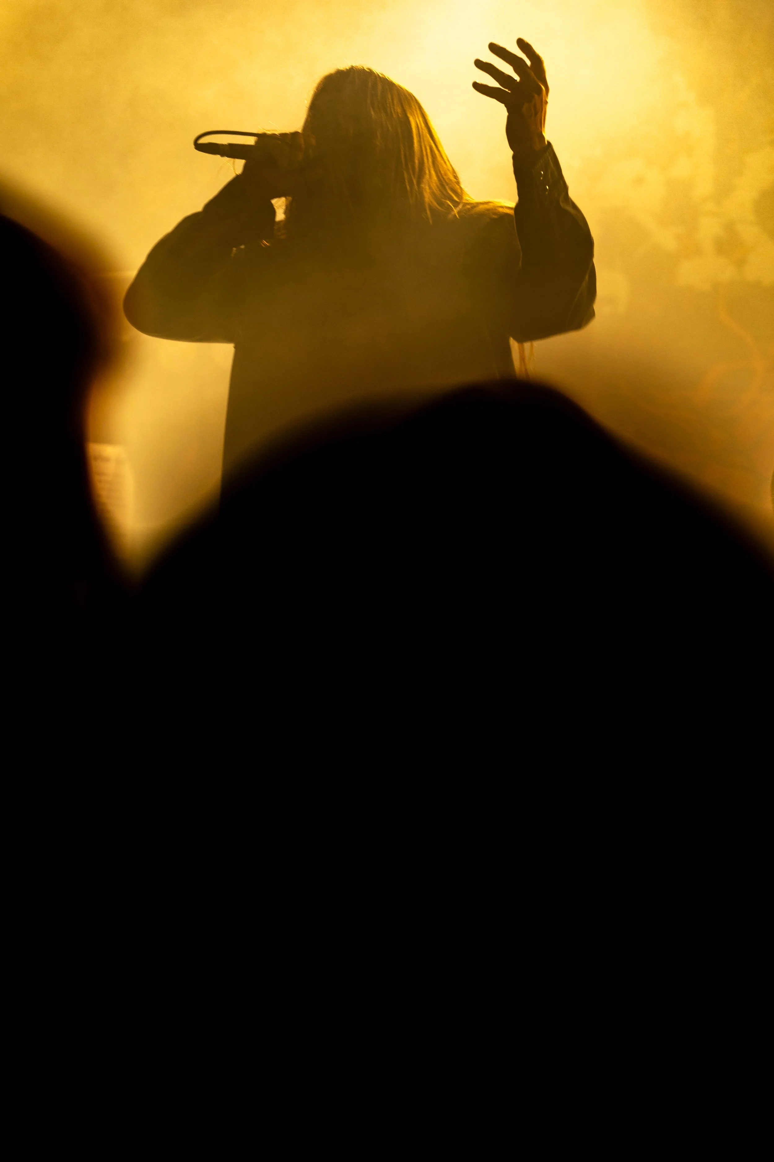 DH-BL-1 (1 of 5).jpg