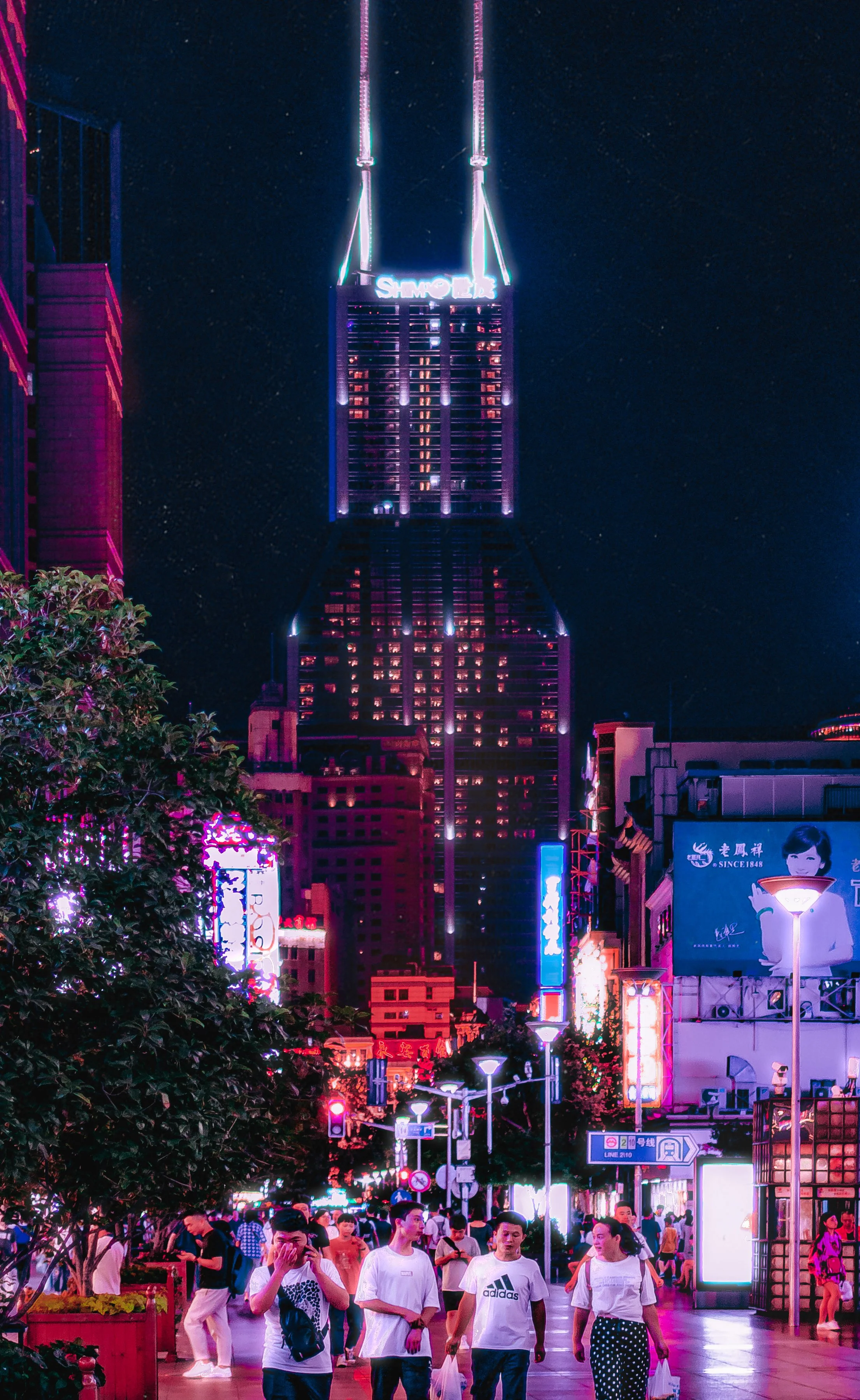 Neon Shanghai-1.jpg