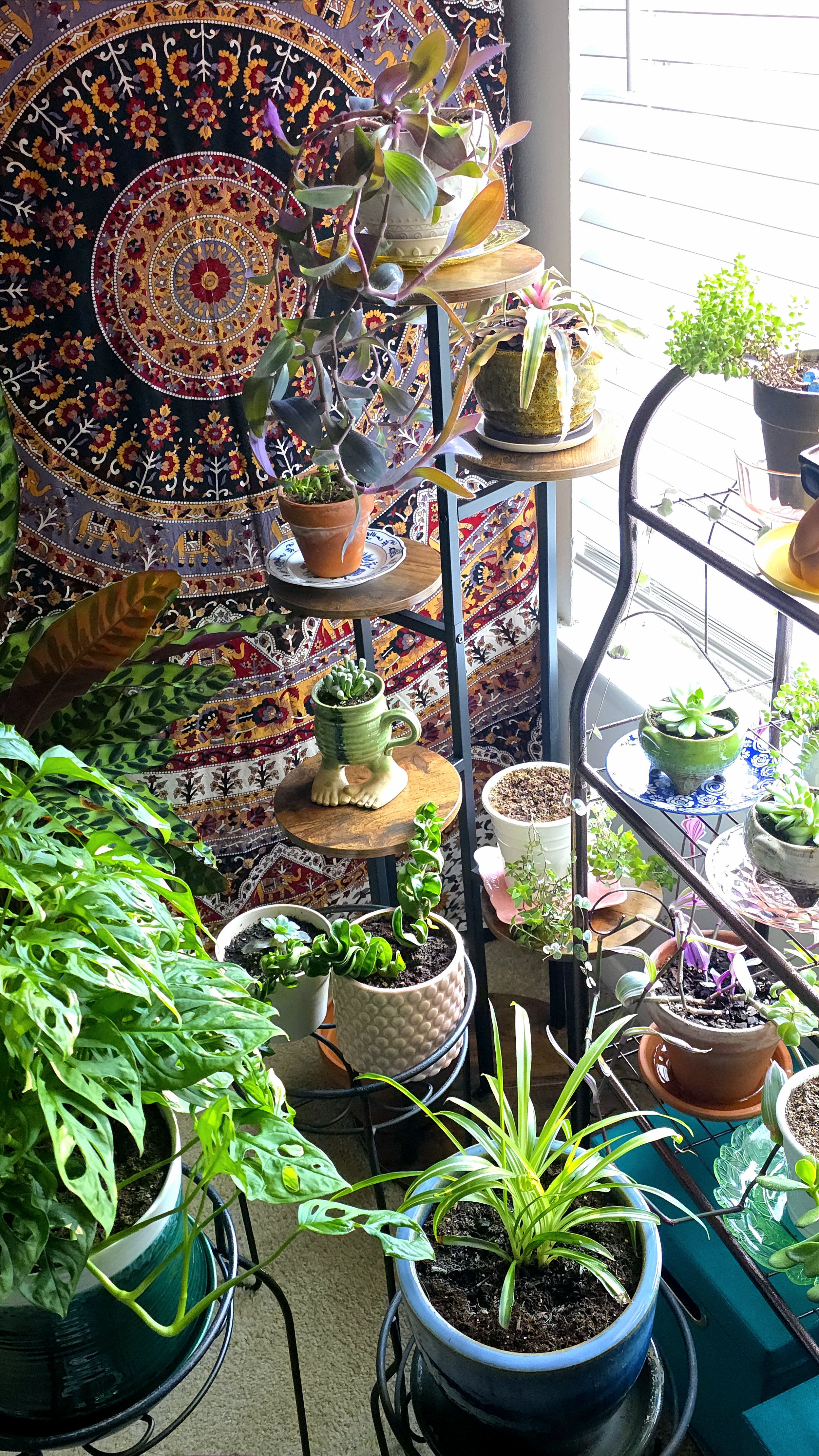 And where the new addition will do its photosynthesis 