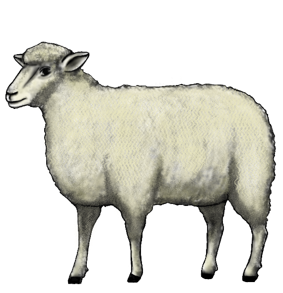 Are you MAN ENOUGH???