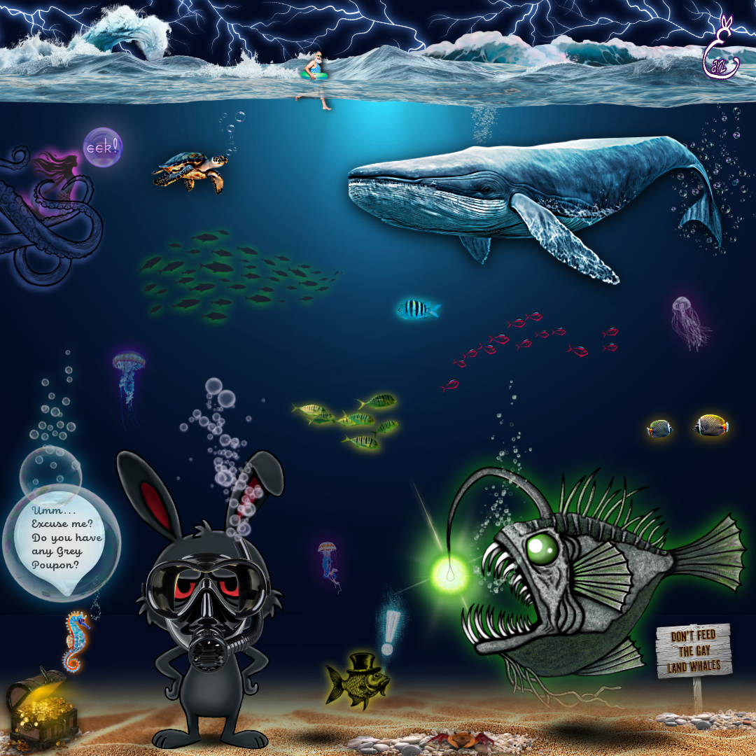 Untitled (15).png