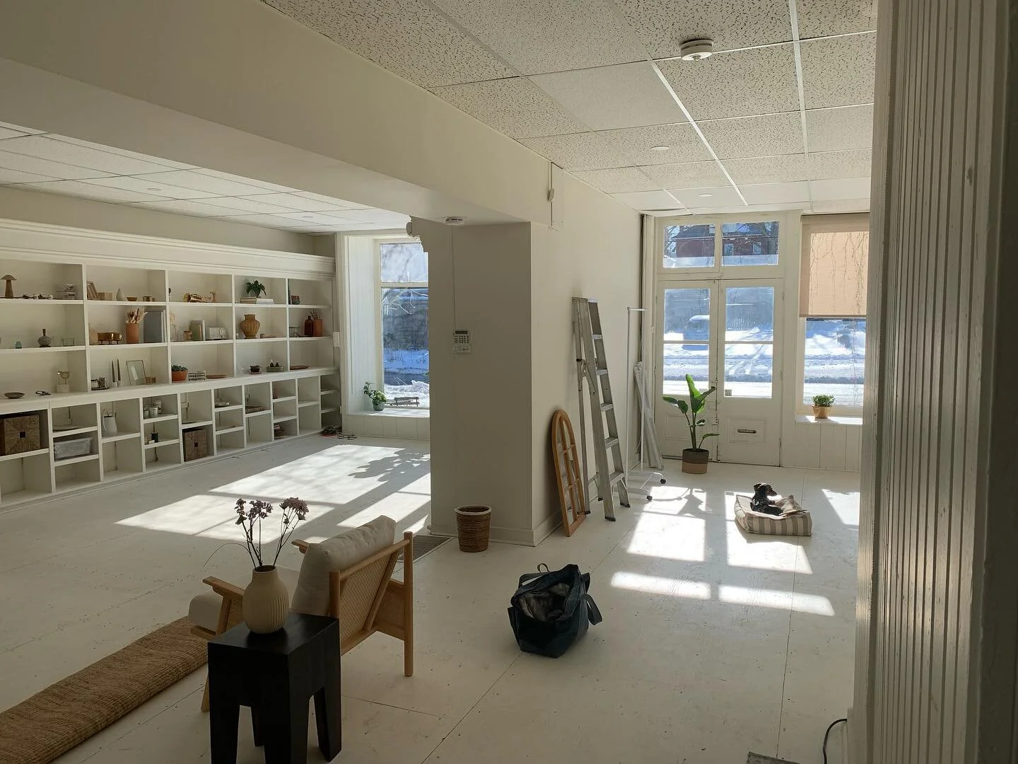 Pretty sweet job site - the new location  @studio_anthology accompanied by a wee sausage dog