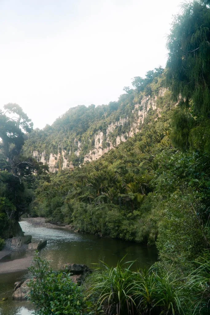 A river flowing out of a limestone gorge in New Zealand